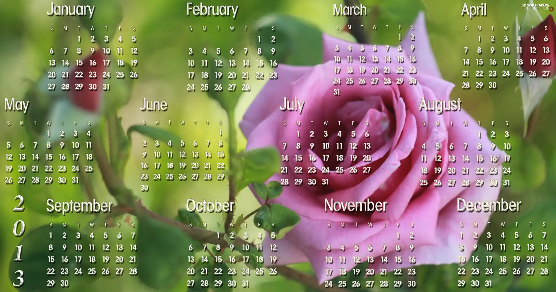 graphics, Calendar, 2013, roses