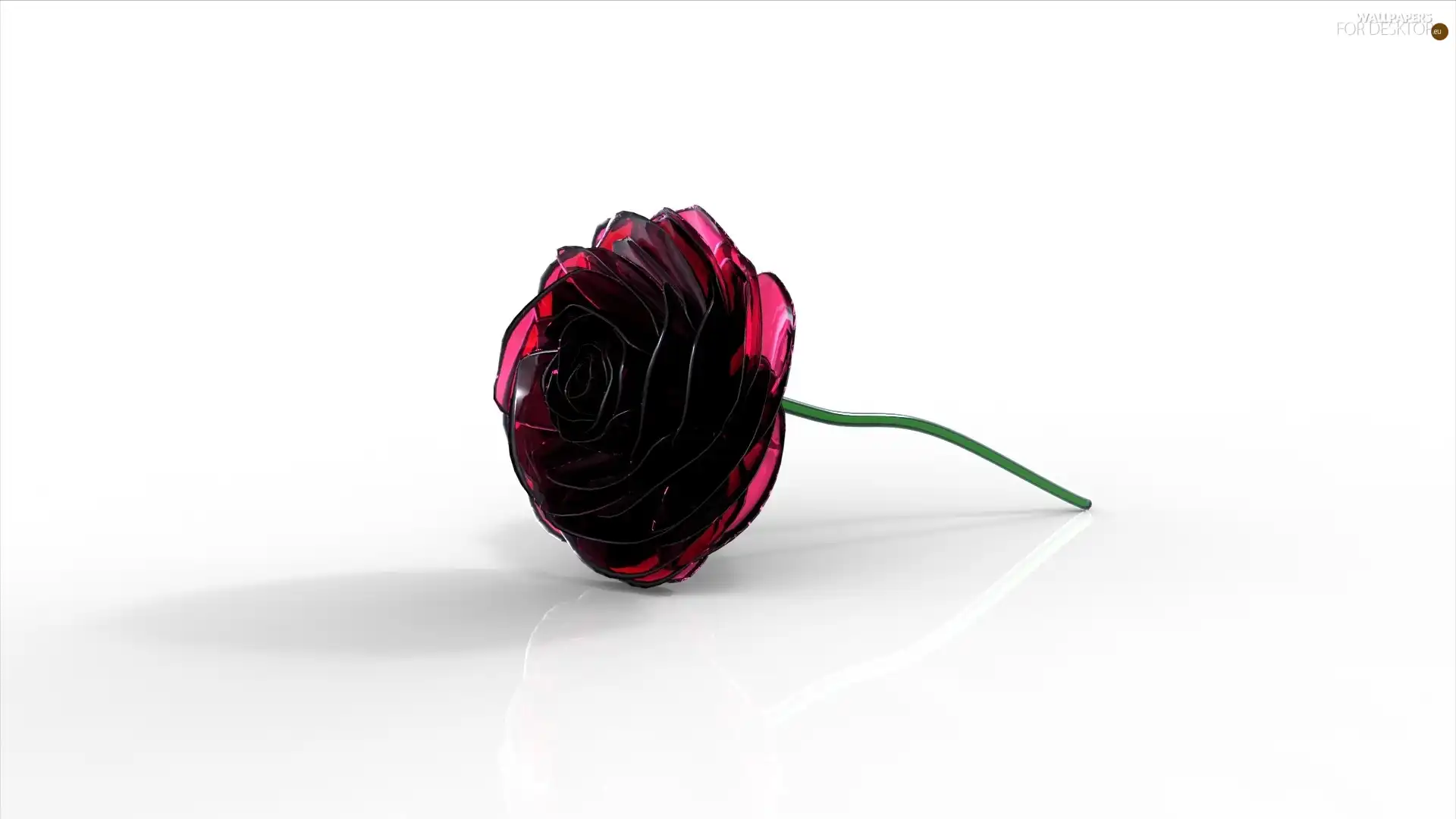 rose, 3D