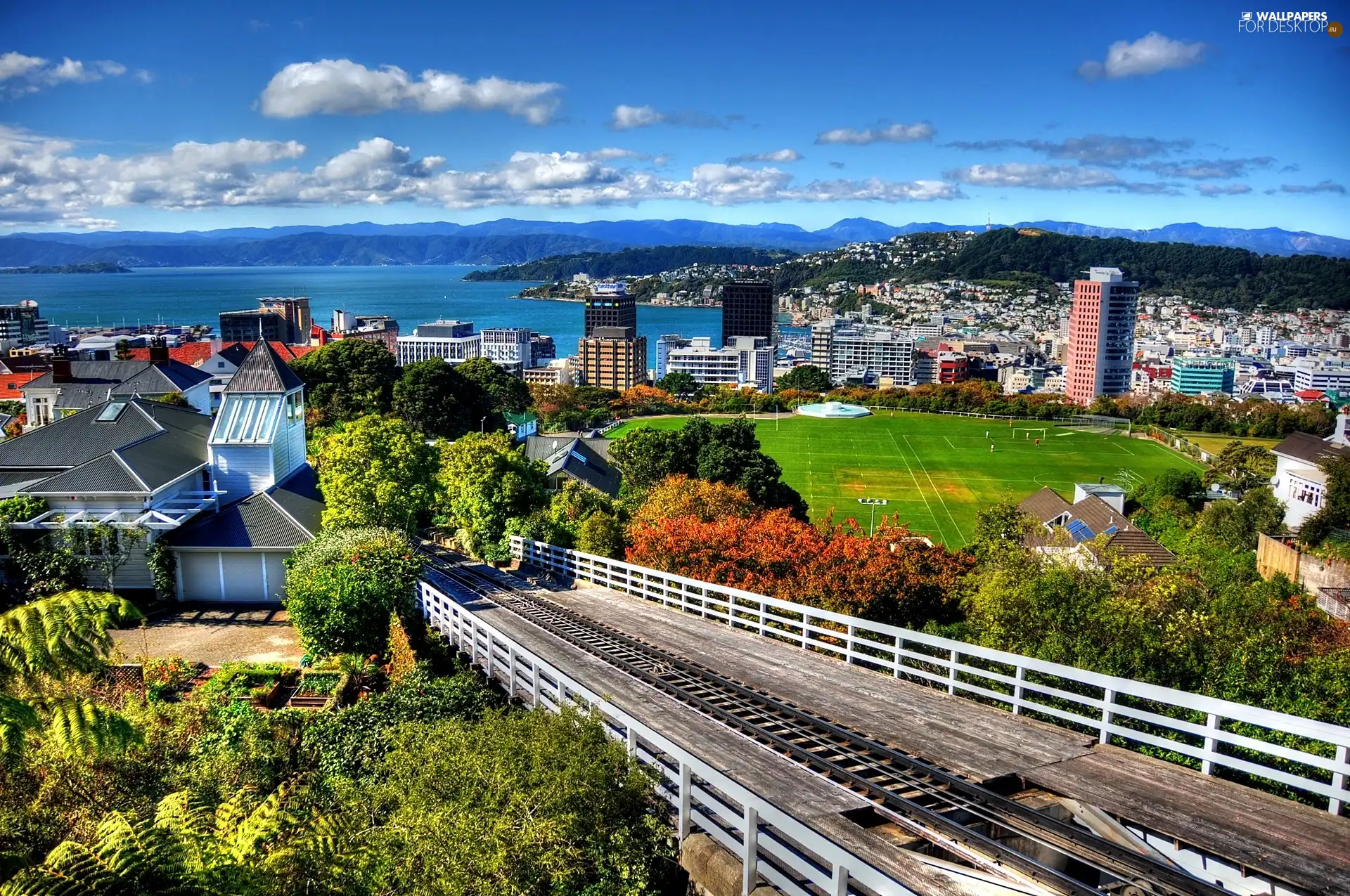 New Zeland, panorama, City ​​of Wellington