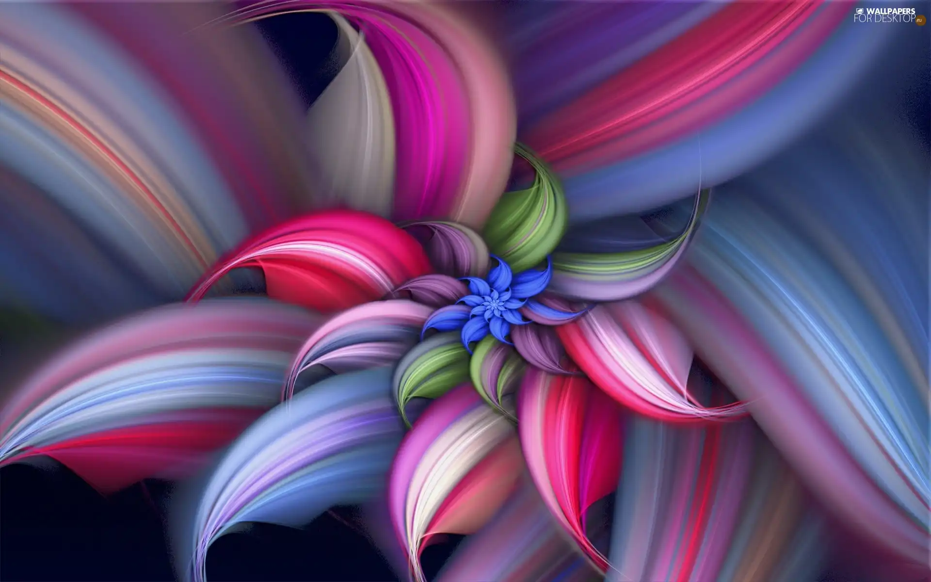 Multicoloured, graphics, abstraction, Colourfull Flowers