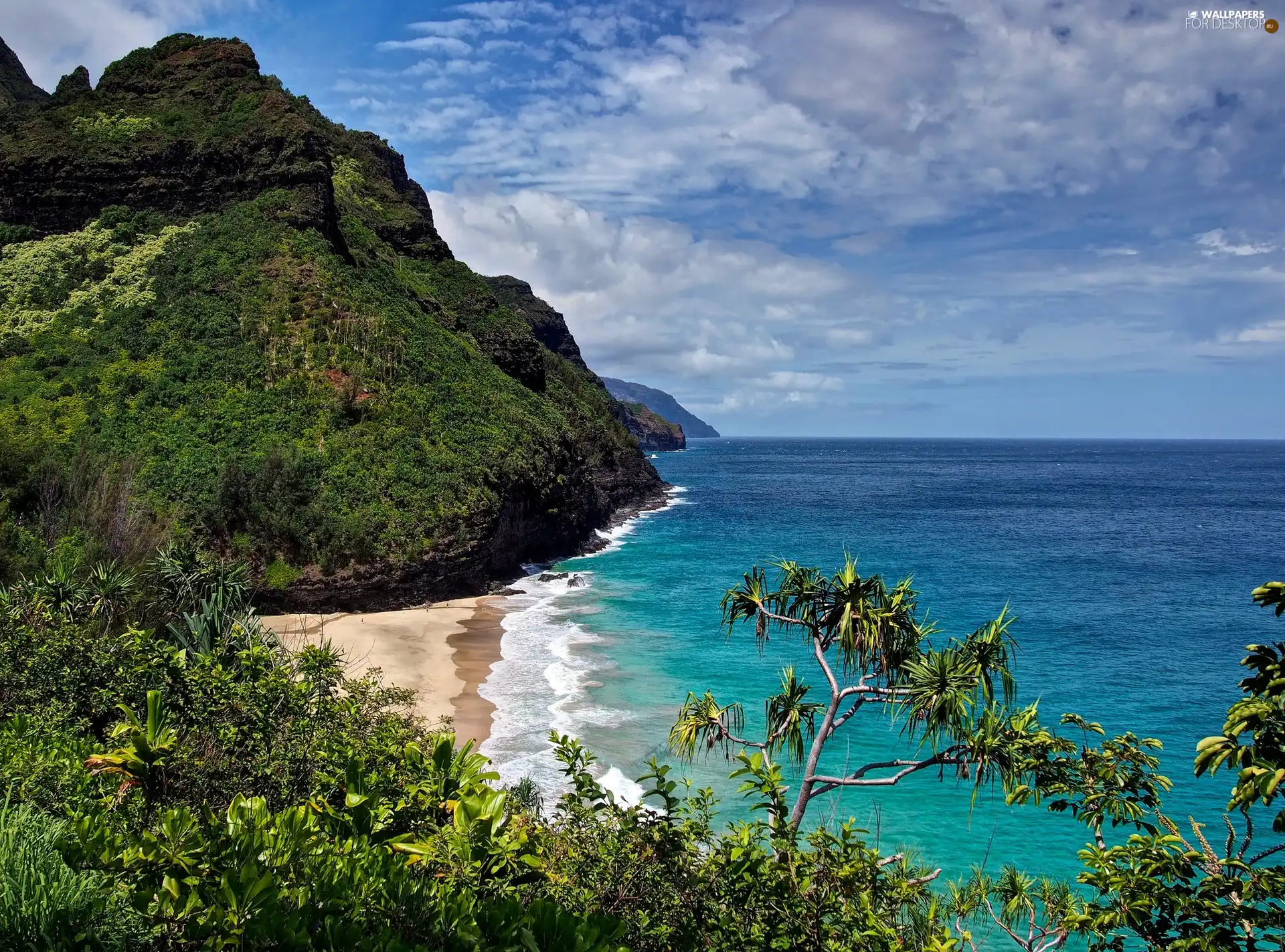Ocean, Coast, Aloha State Hawaje, Beaches