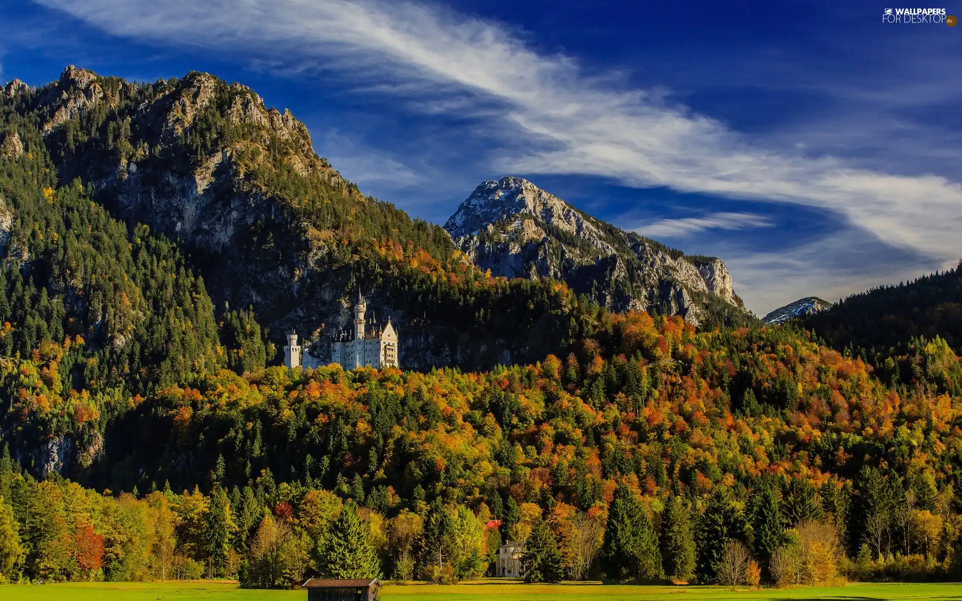 Castle, woods, autumn, Mountains