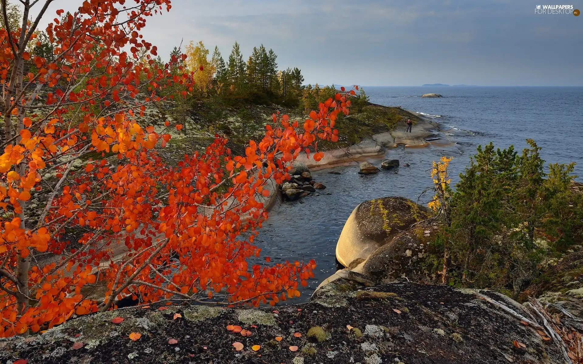 autumn, rocks, Human, trees, VEGETATION, Lake Ladoga, Russia, viewes