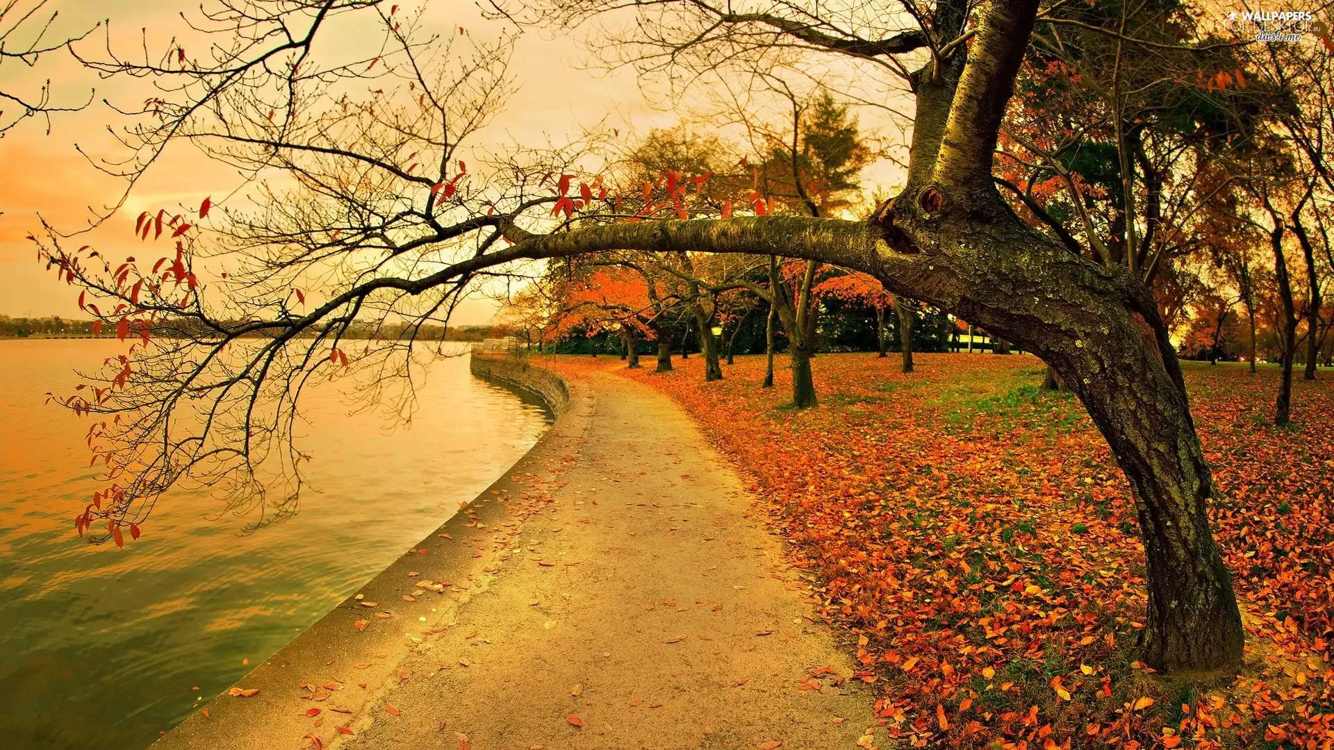 autumn, River, Park
