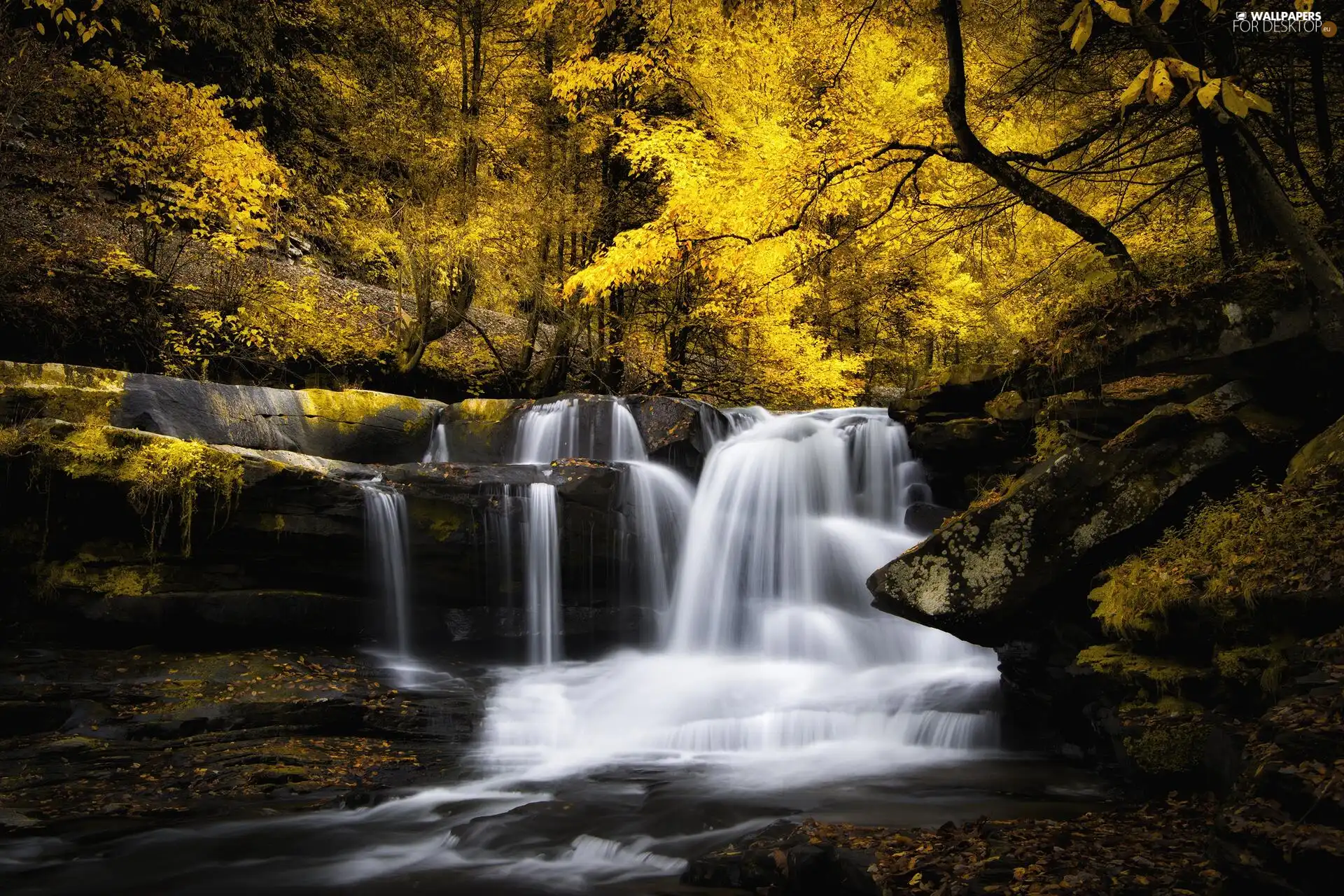 viewes, forest, rocks, autumn, waterfall, trees