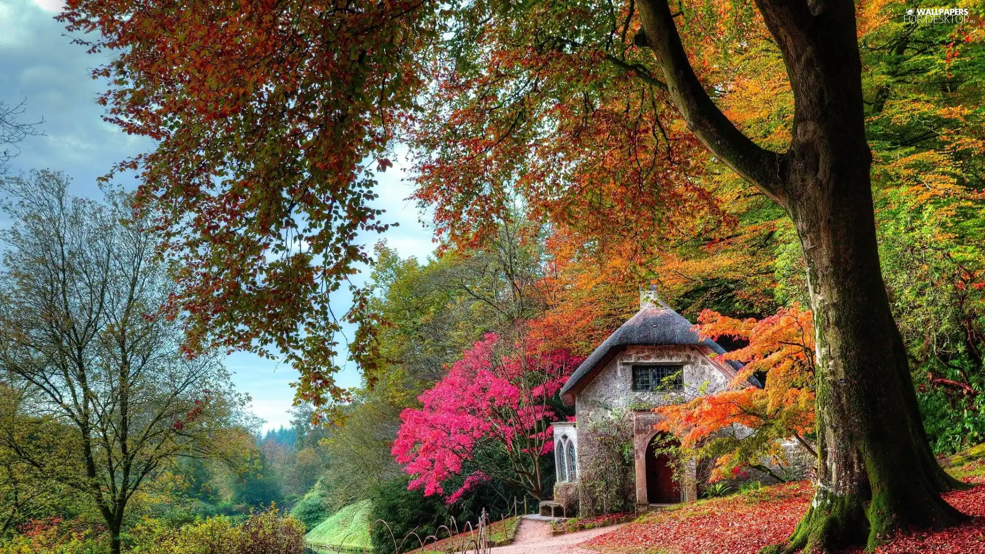 viewes, autumn, Way, trees, house