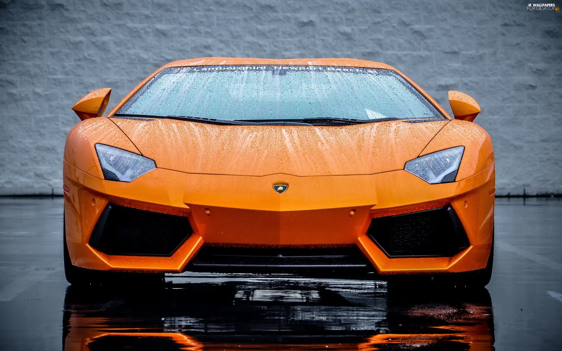 Front, Lamborghini Aventador