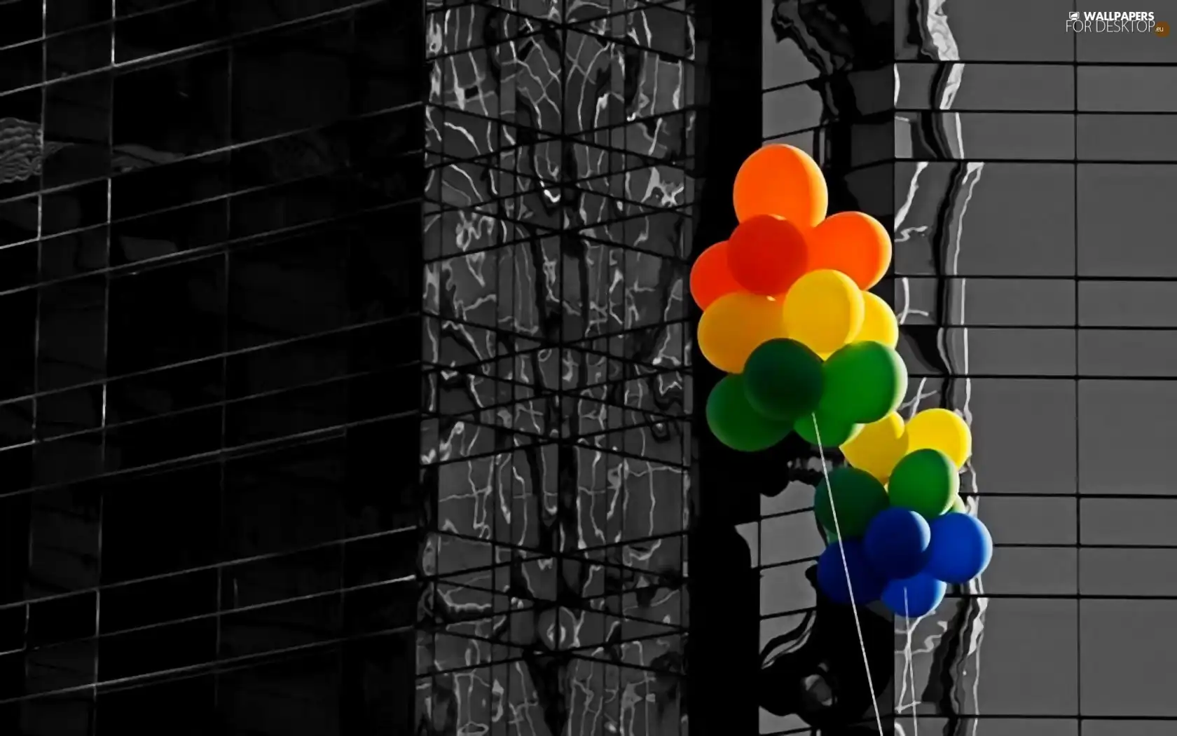 decoration, color, Balloons