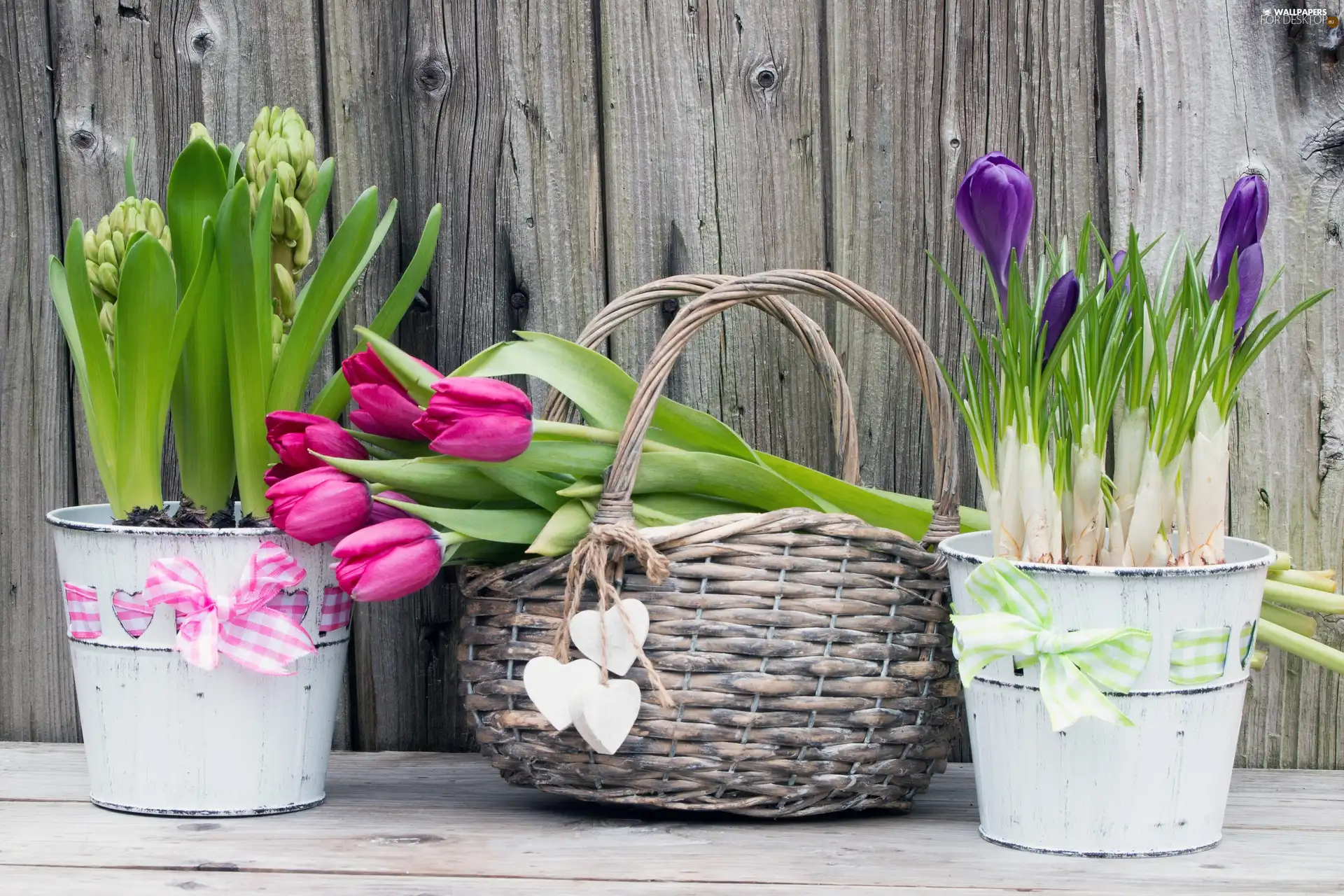 Tulips, basket, Hyacinths, Buckets, crocuses