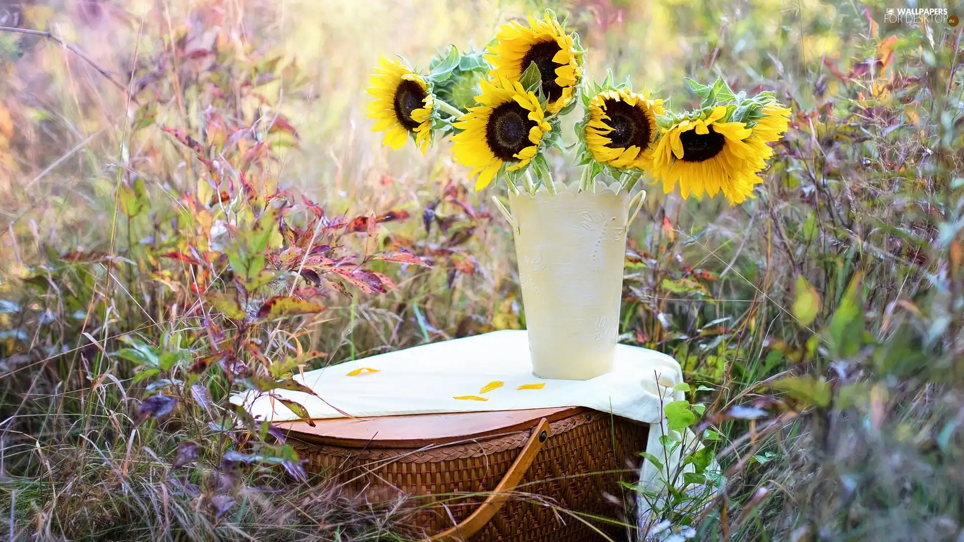 Flowers, Vase, basket, Nice sunflowers