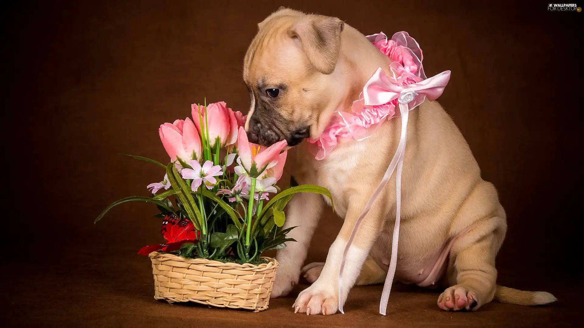 Flowers, basket, Puppy, Artificial, dog