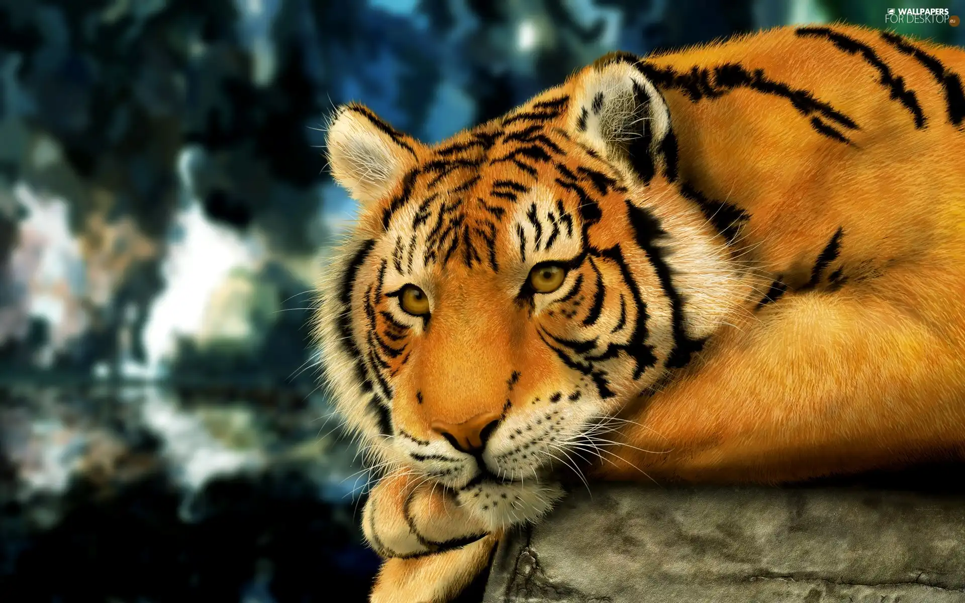 tiger, bengal