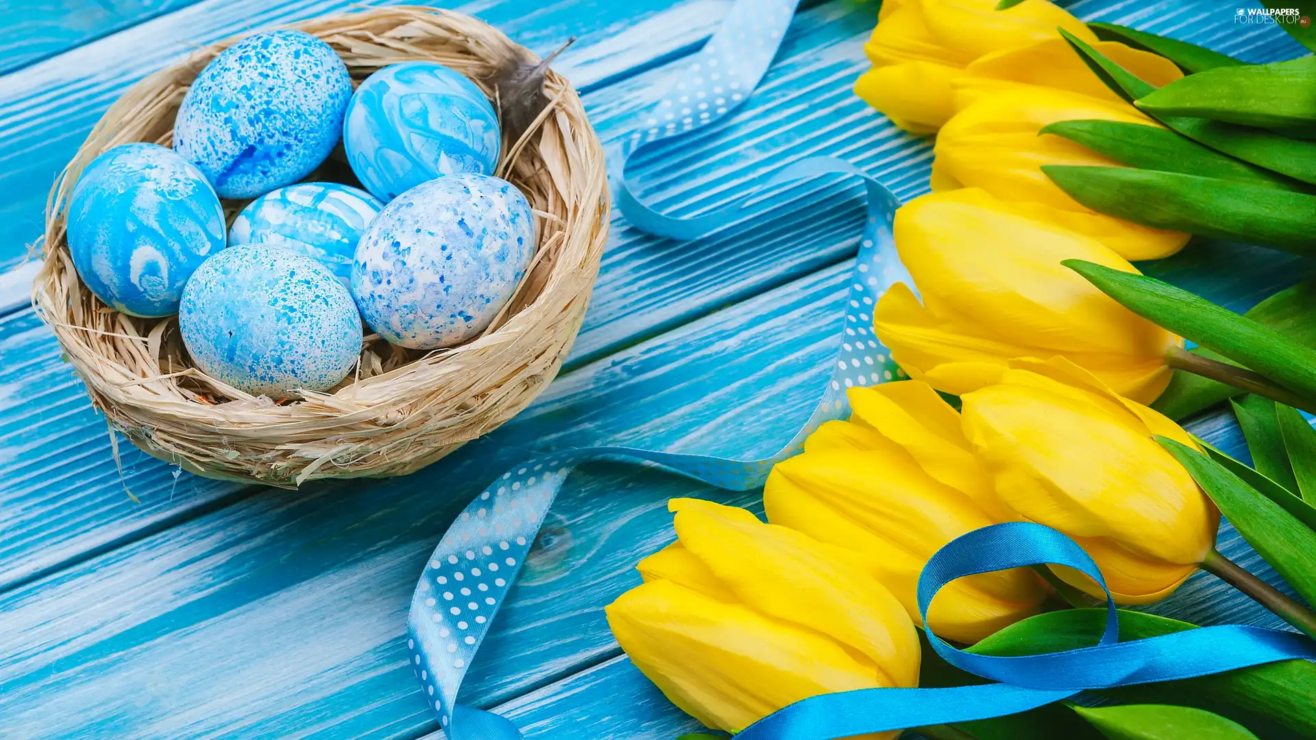 ribbon, eggs, Easter, nest, boarding, Tulips, Yellow, Blue
