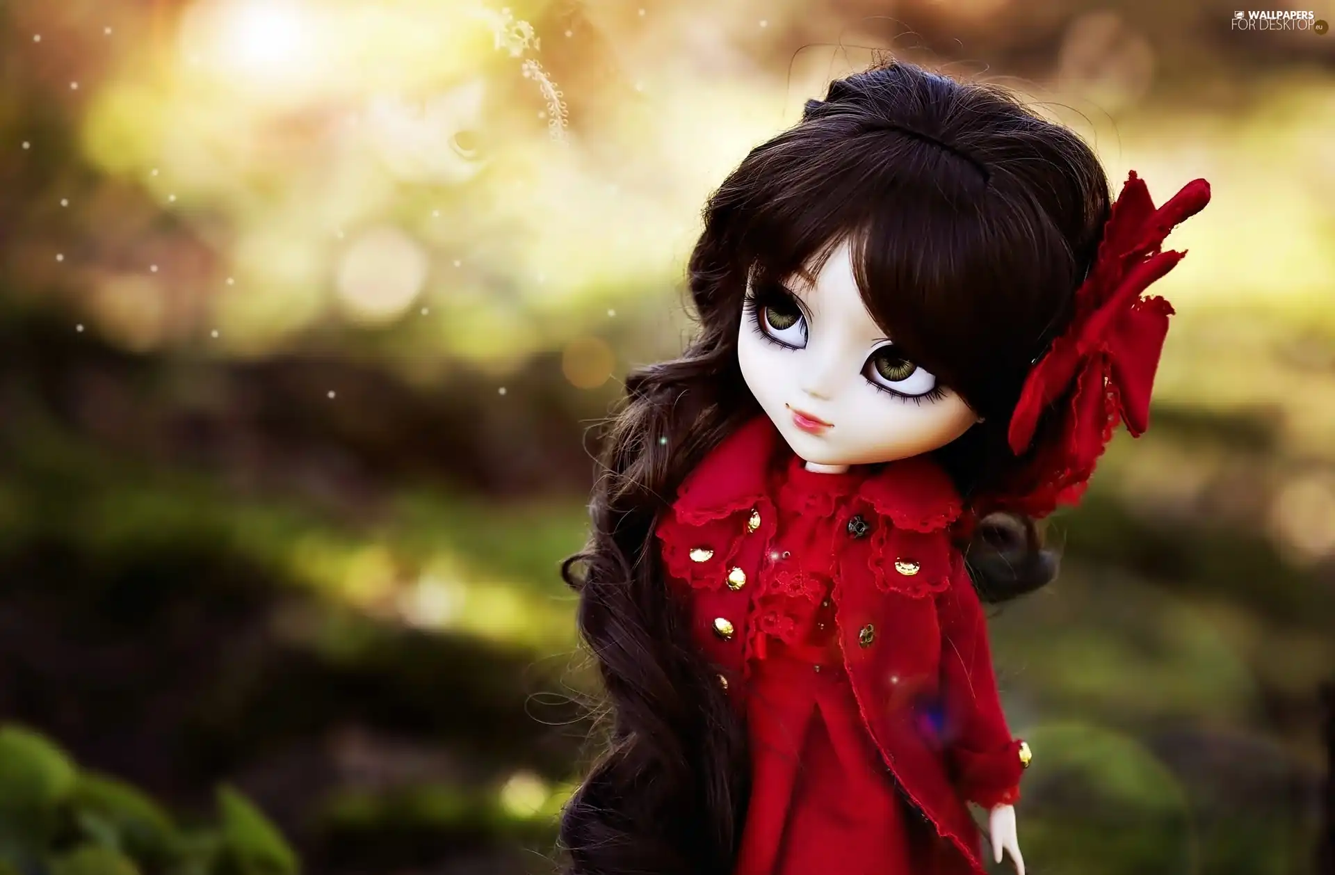 doll, Flower, blur, With Red