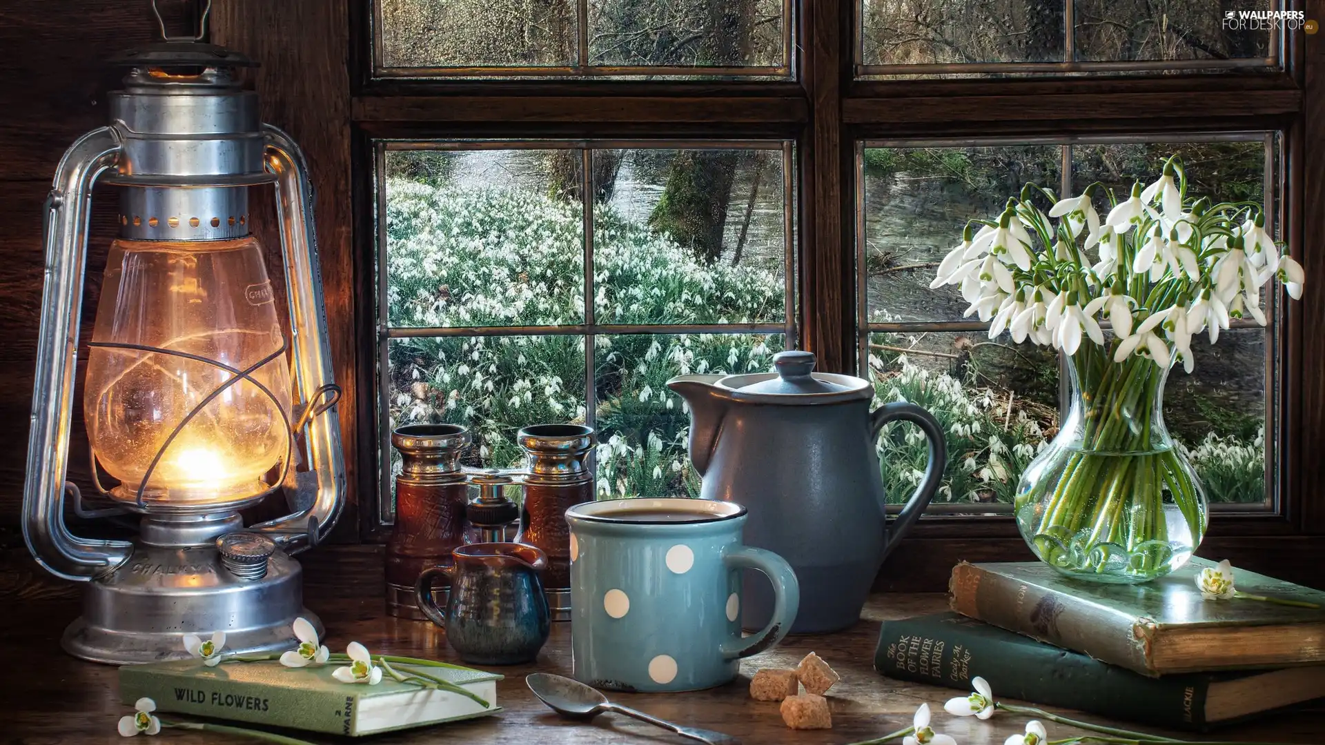 Window, snowdrops, binoculars, Cup, jug, Lamp, composition, Book