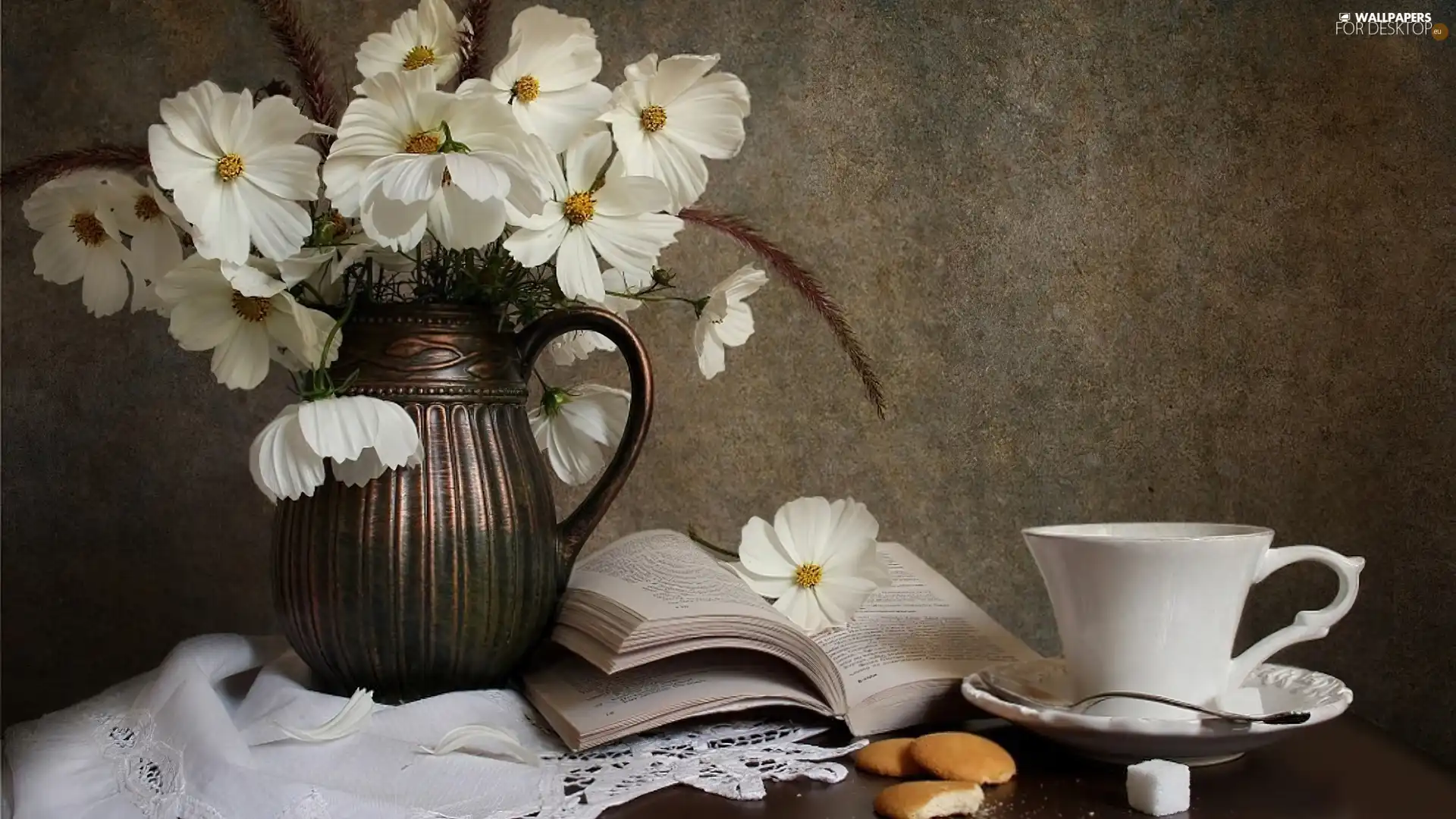 Book, cup, Cosmos, bowl, White