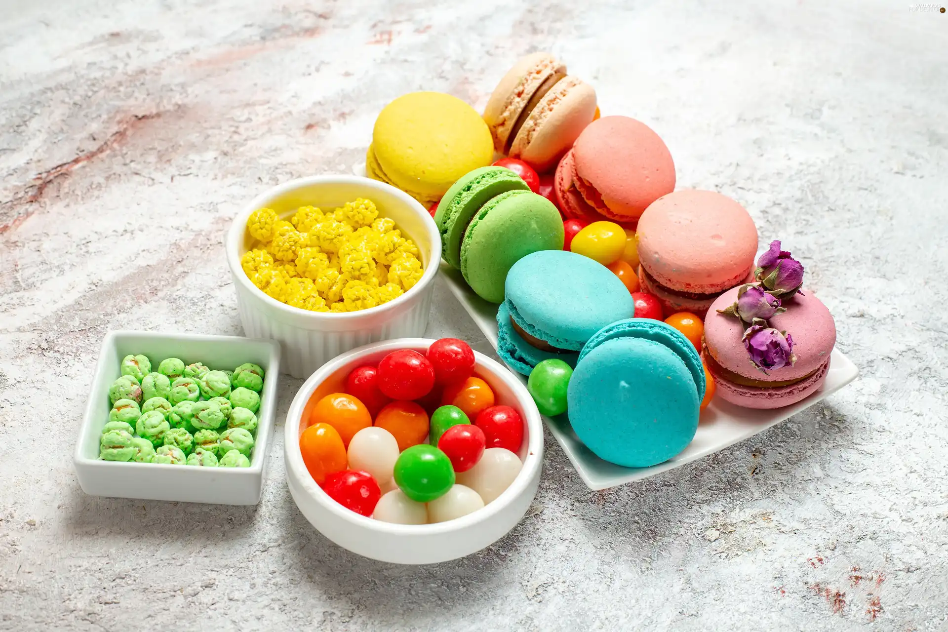 Macaroons, Candies, color, Bowls, pills, cookies