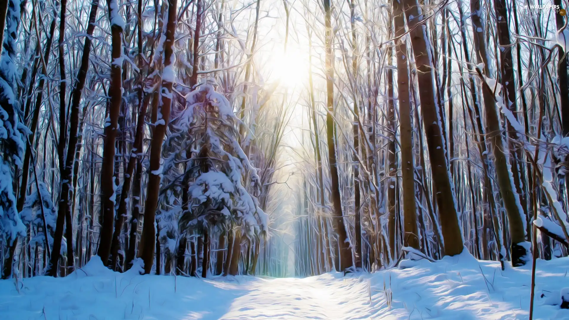 light breaking through sky, Fractalius, forest, Way, winter