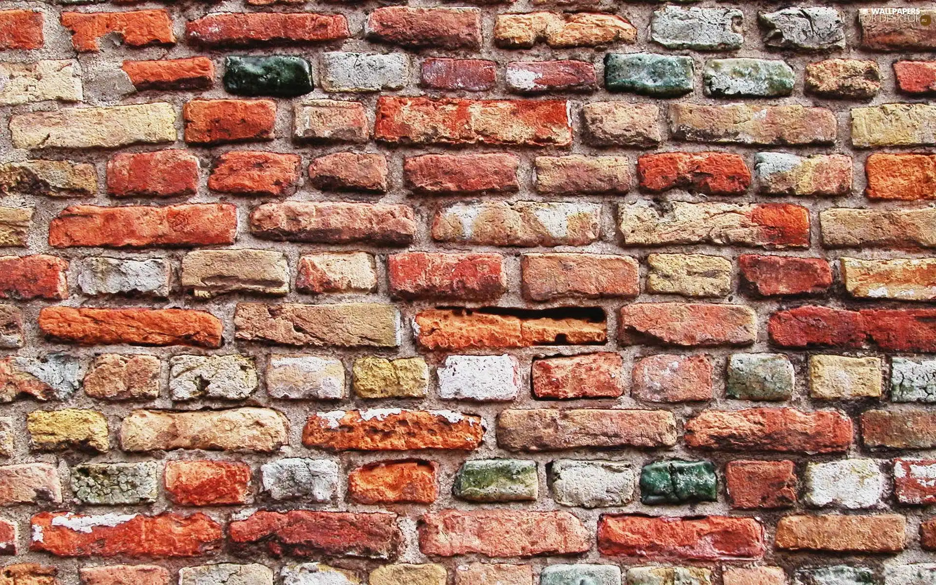brick, wall, wall
