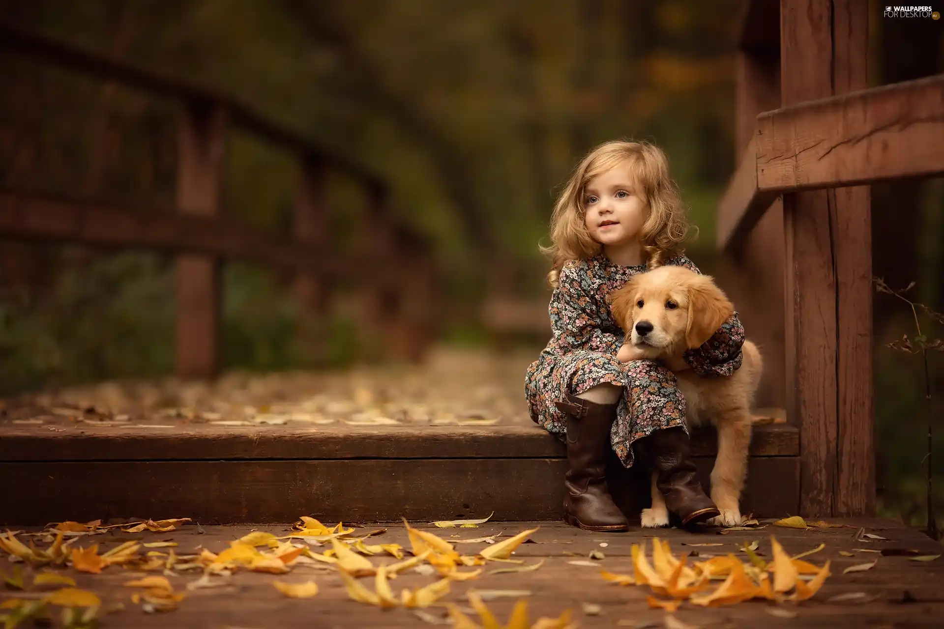 friend, Golden Retriever, Leaf, puppie, girl, bridge, autumn