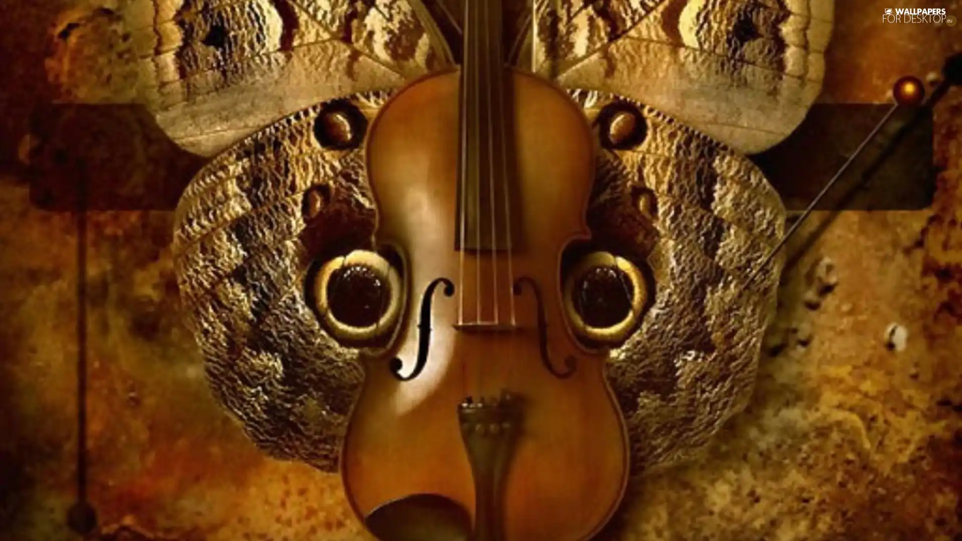 violin, butterfly
