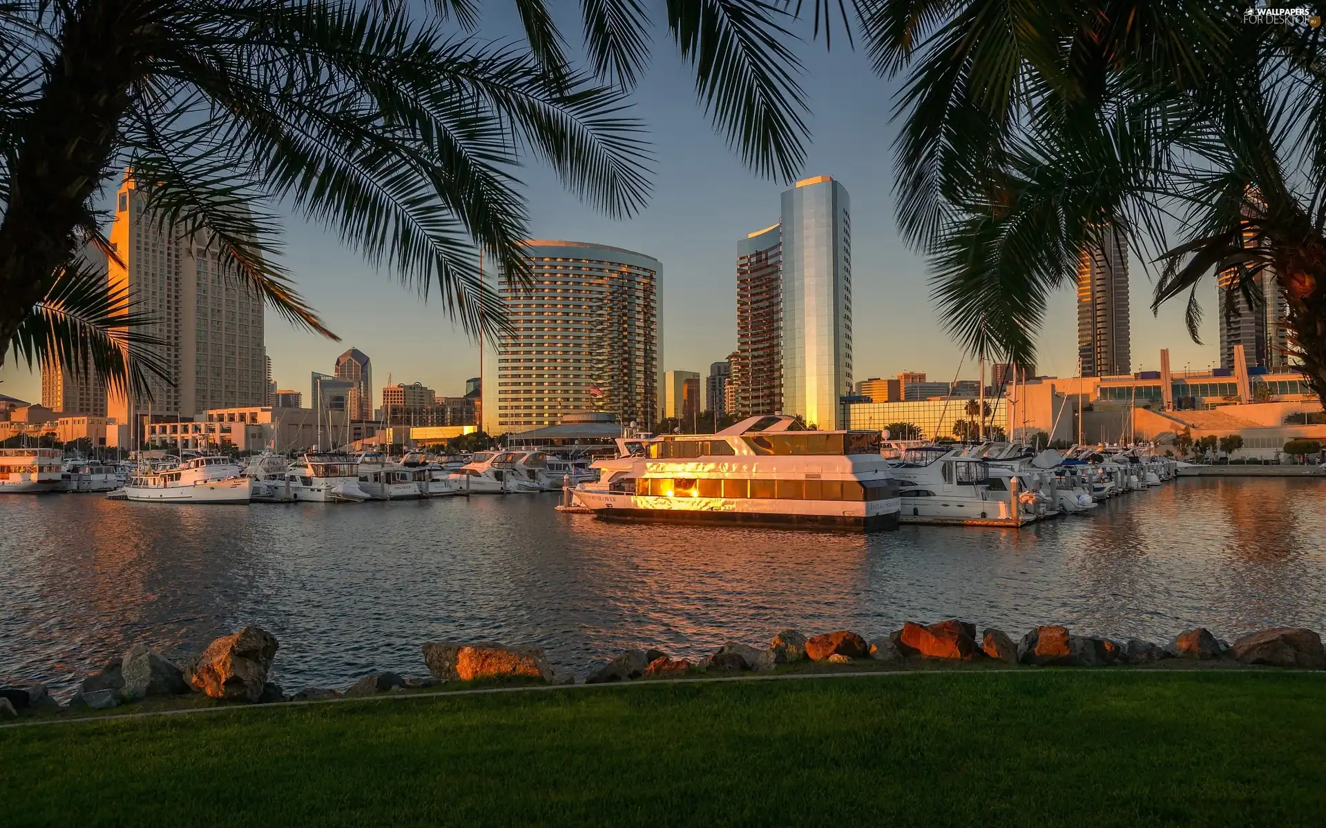 California, San Diego, Yachts, Palms, port, USA