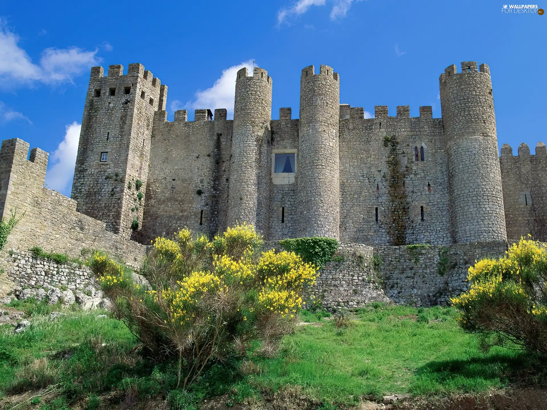 Castle, Portugal, Obidos