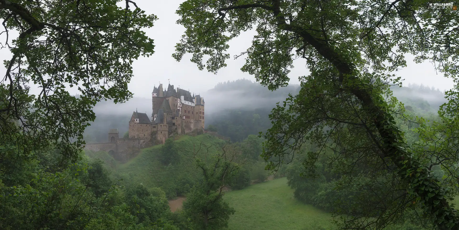 Fog, trees, River, Rhineland-Palatinate, The Hills, Eltz Castle, viewes, Germany, Municipality Wierschem, Mountains