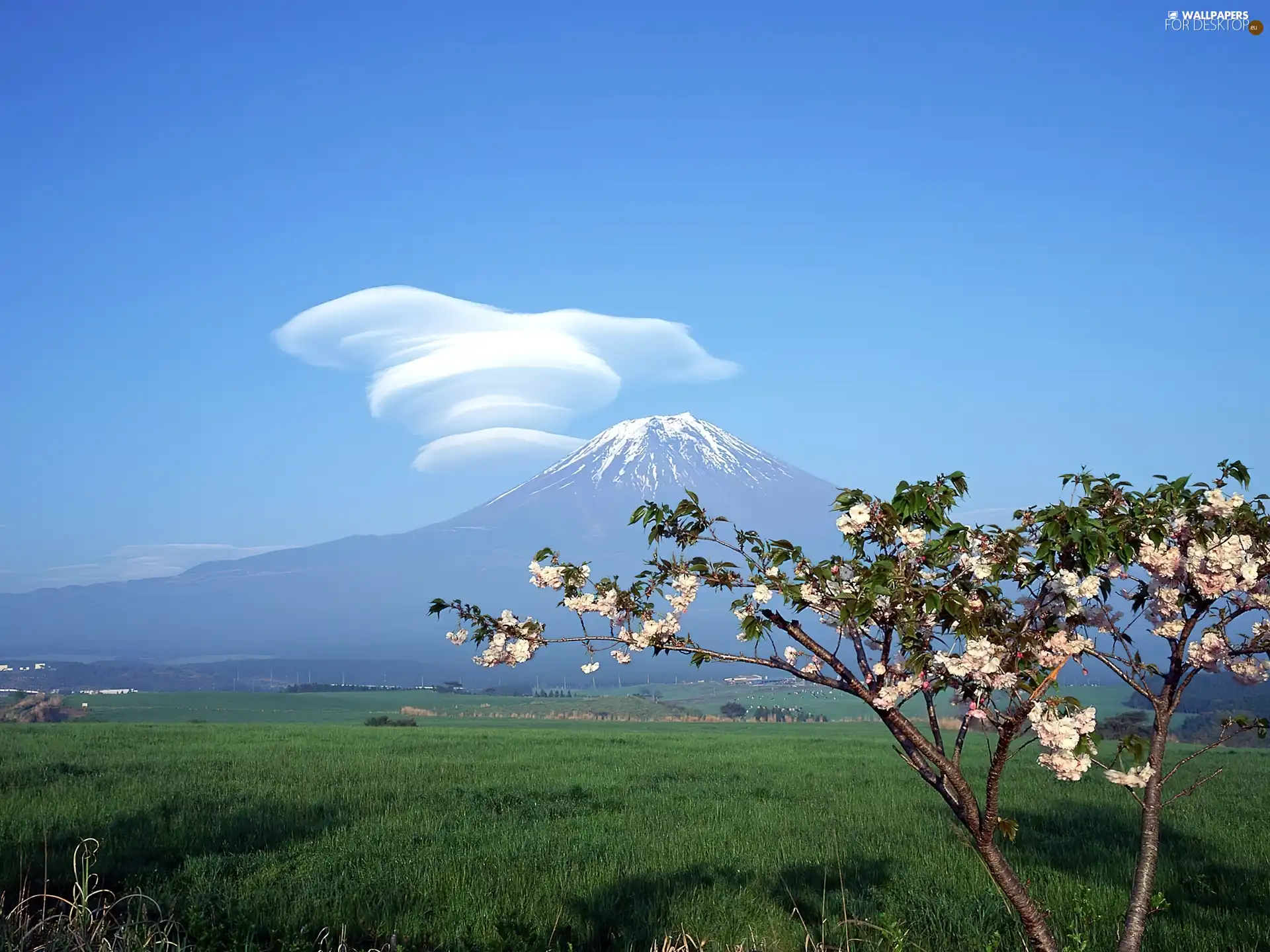 mountains, fancy, Cloud, Fuji