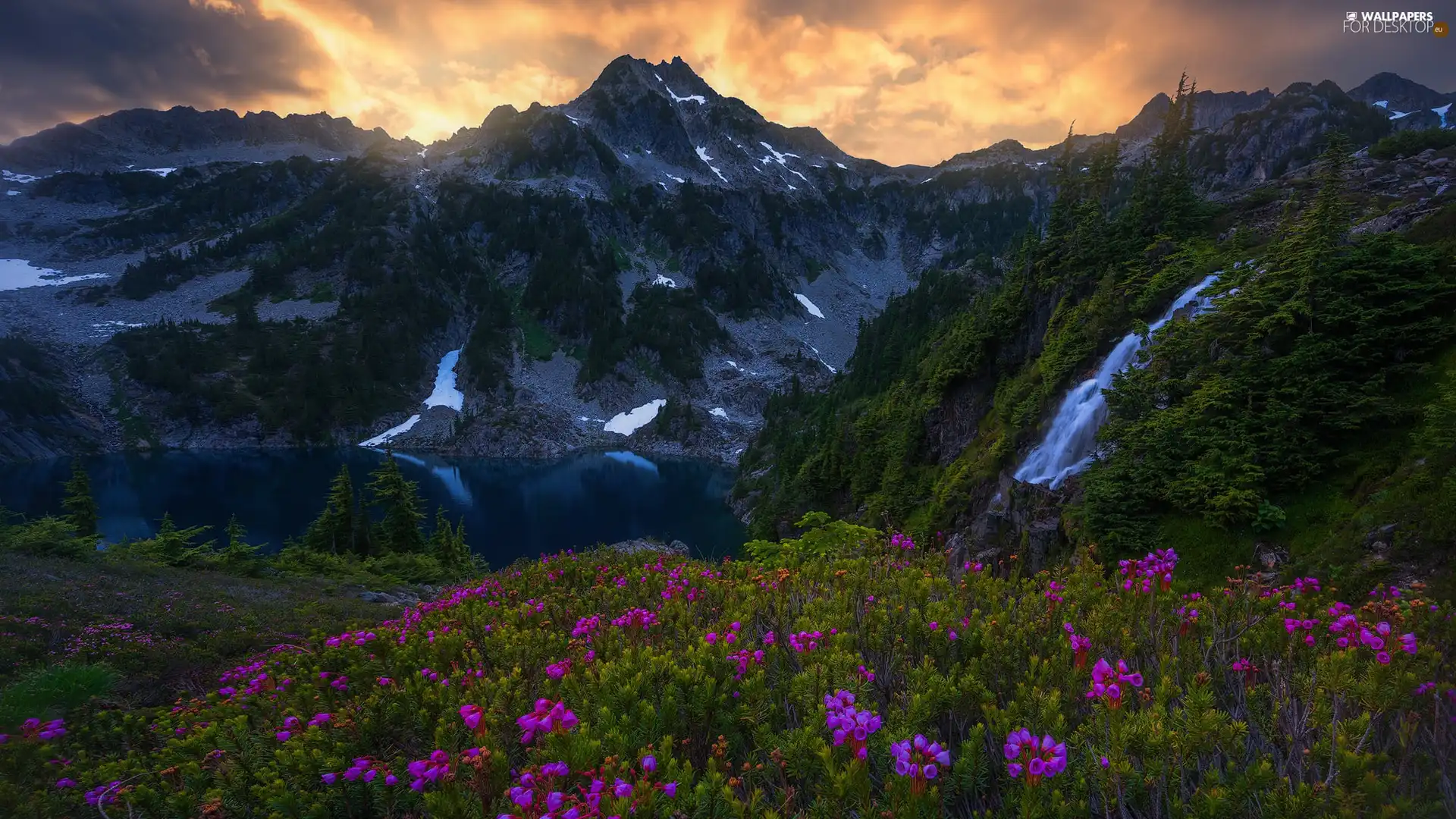 viewes, lake, Great Sunsets, trees, Mountains, Flowers, clouds