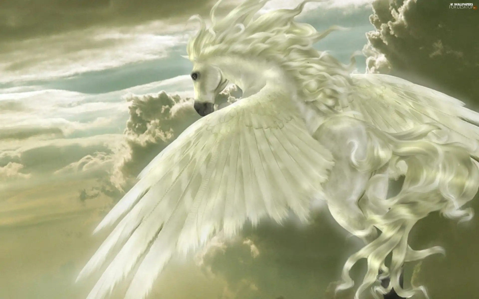 Pegasus, clouds