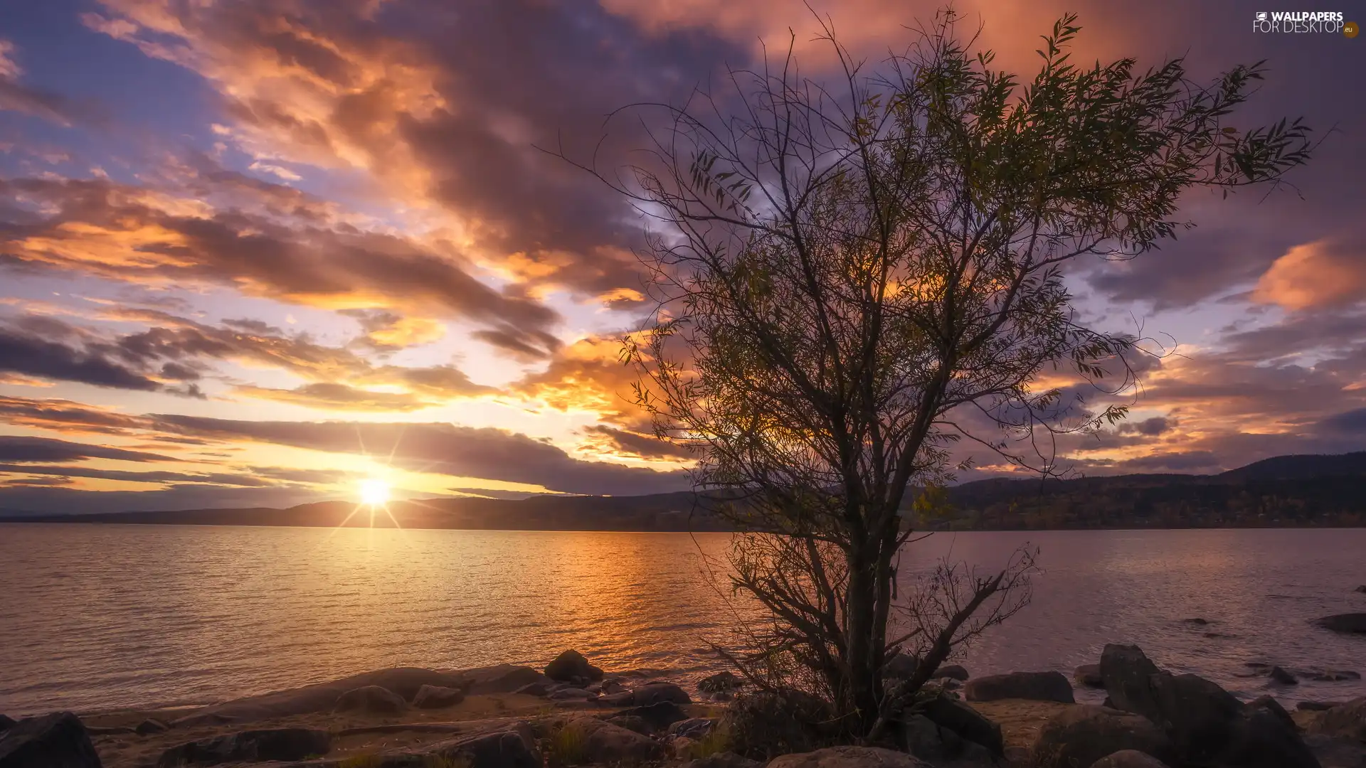 clouds, Lake Tyrifjorden, Buskerud District, Norway, trees, Great Sunsets