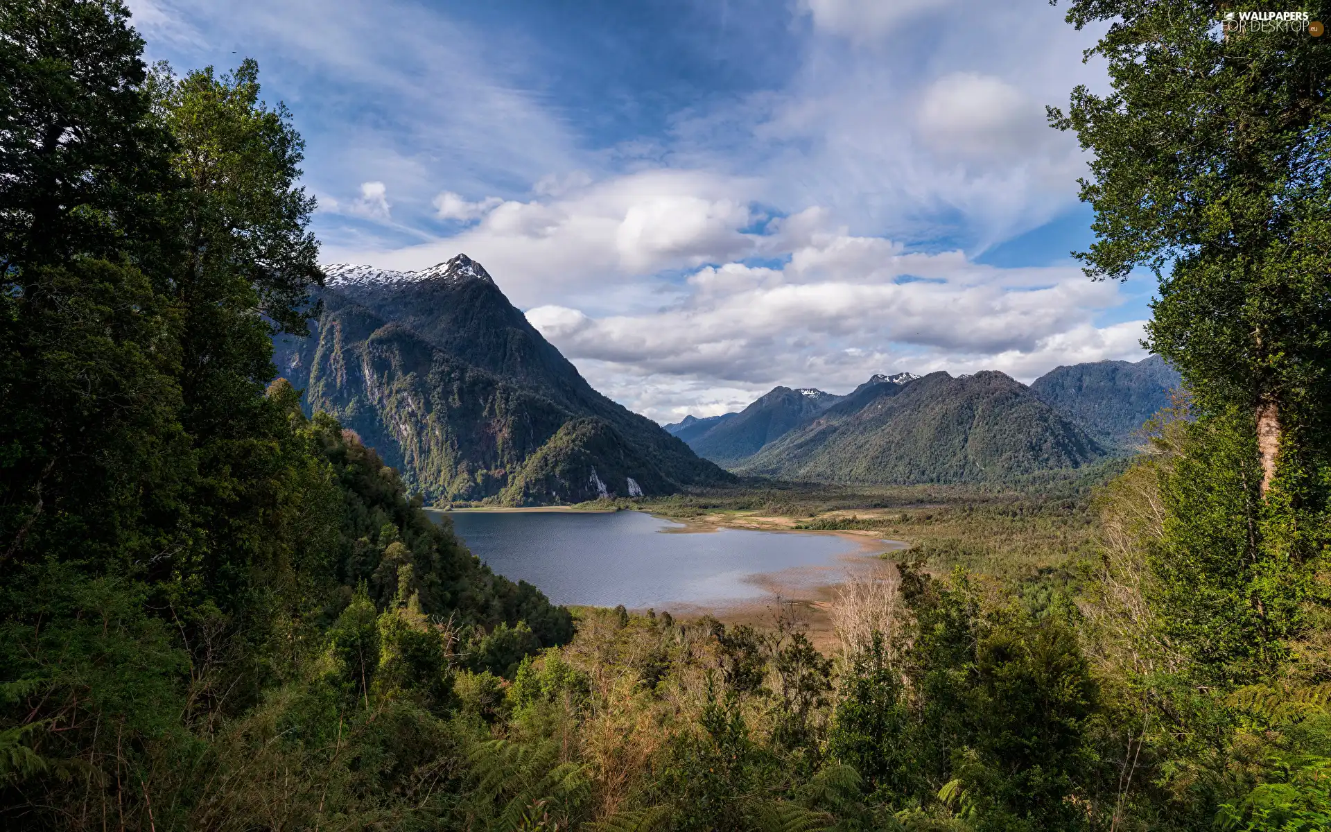 forest, lake, viewes, clouds, Mountains, trees, VEGETATION
