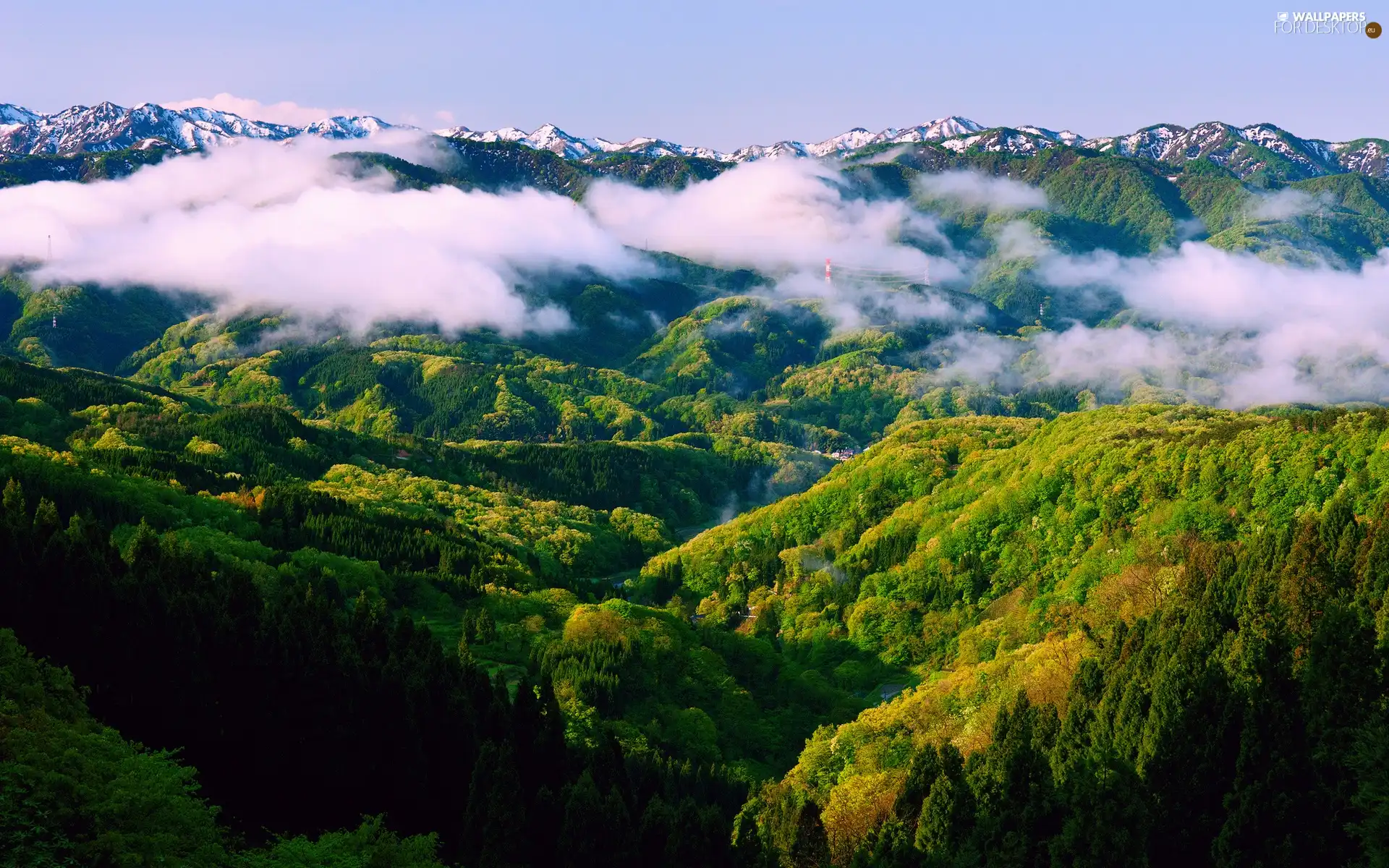 clouds, Mountains, woods