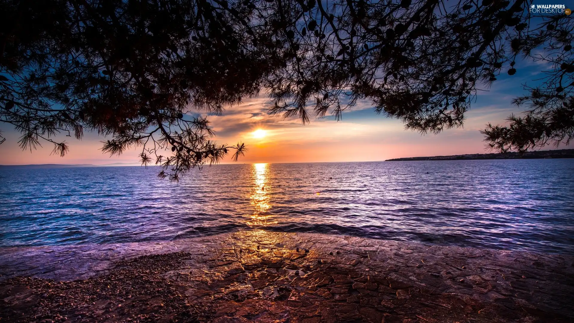 lake, branch pics, coast, Great Sunsets