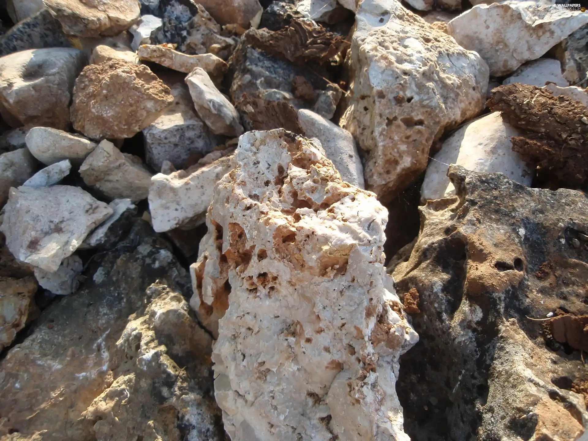 Coastal, rocks, Stones