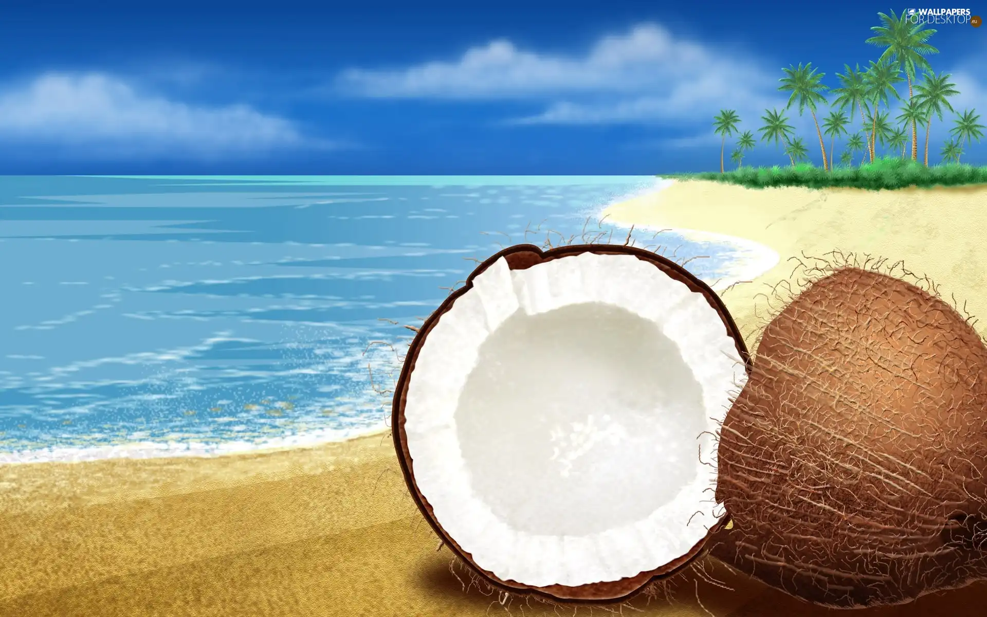Coconut, Beaches, water