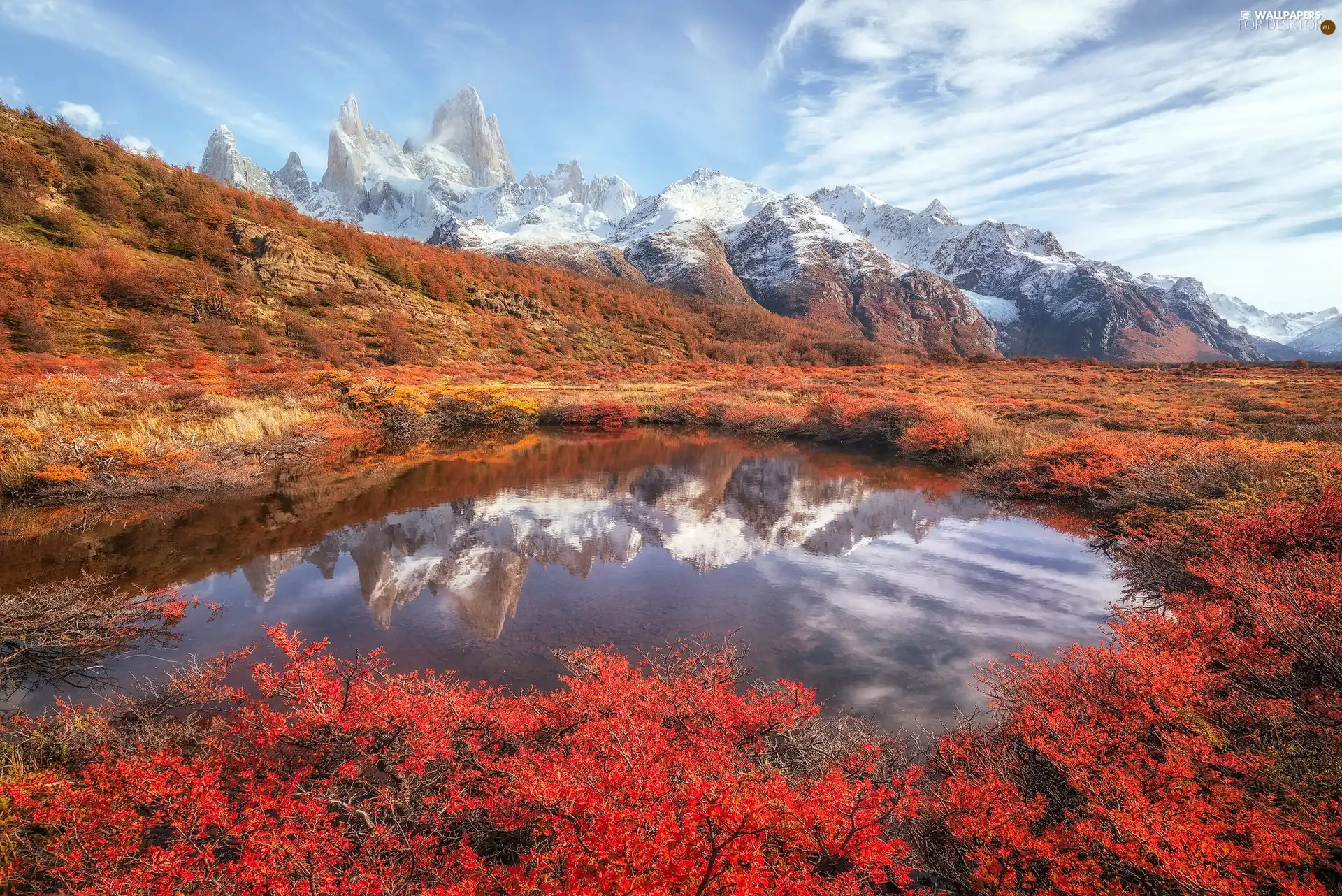 Patagonia, Argentina, puddle, reflection, VEGETATION, autumn, Fitz Roy Mountain, Coloured, Andes Mountains