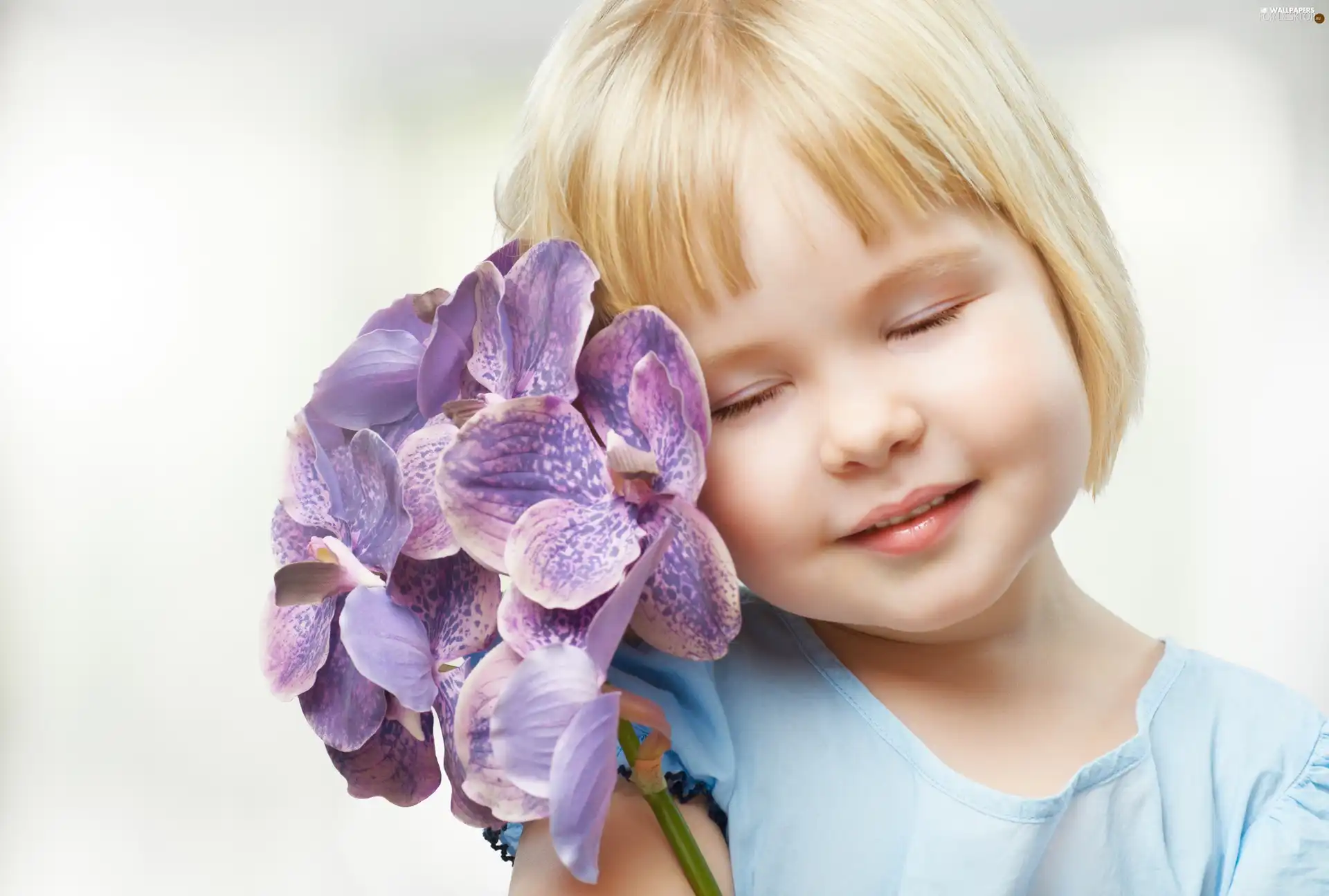 orchid, girl, Colourfull Flowers