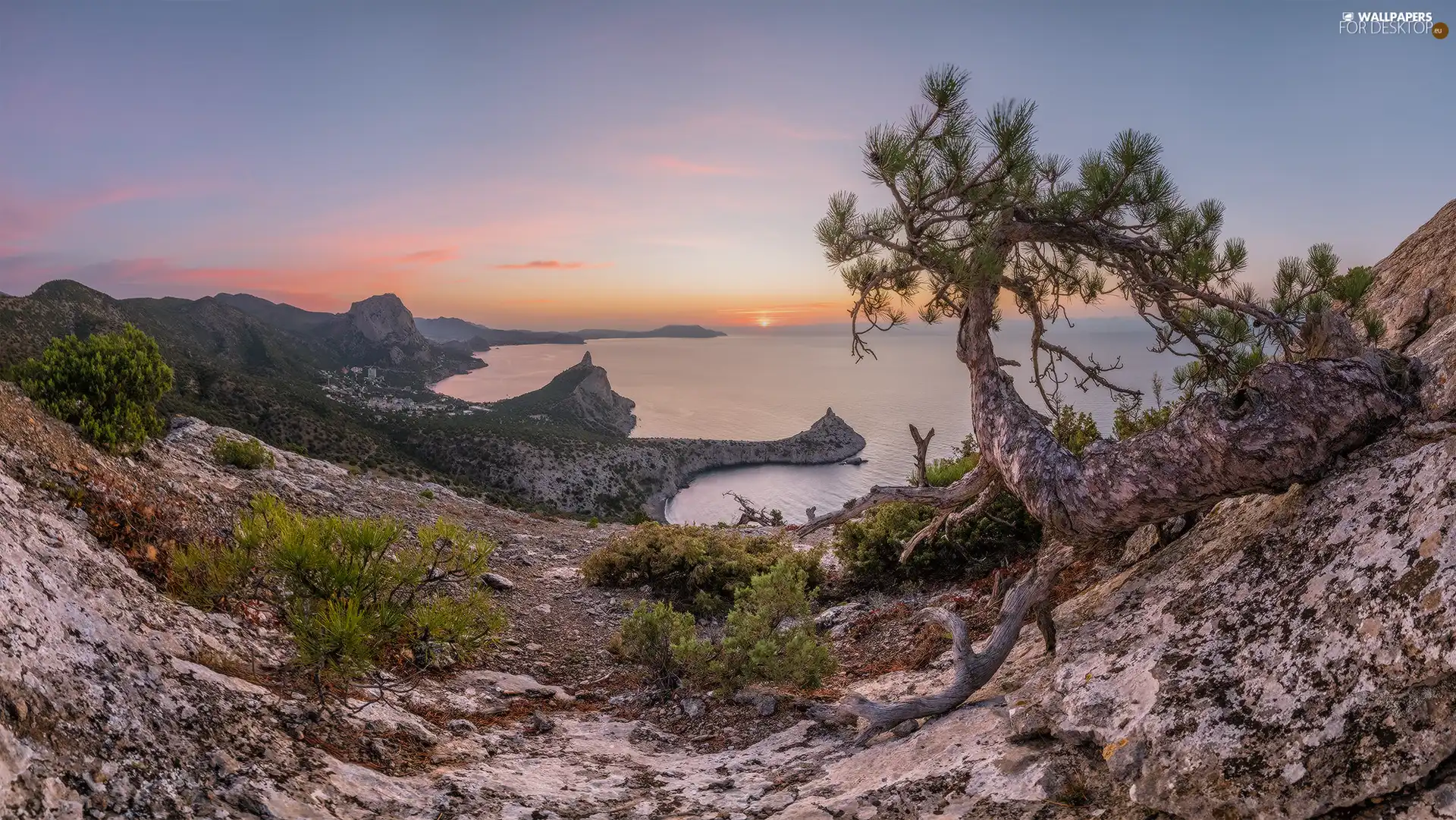 Sunrise, Black Sea, pine, rocks, Coast, trees, Crimea