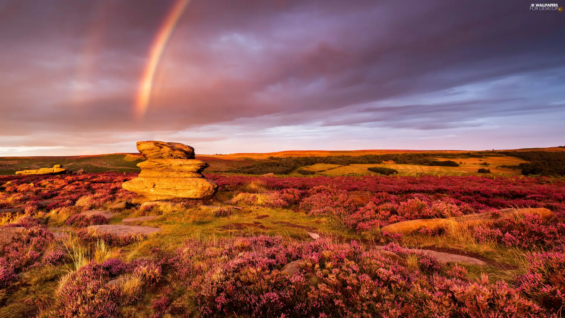 rocks, Great Sunsets, England, Great Rainbows, County Derbyshire, The Hills, heath, Peak District National Park
