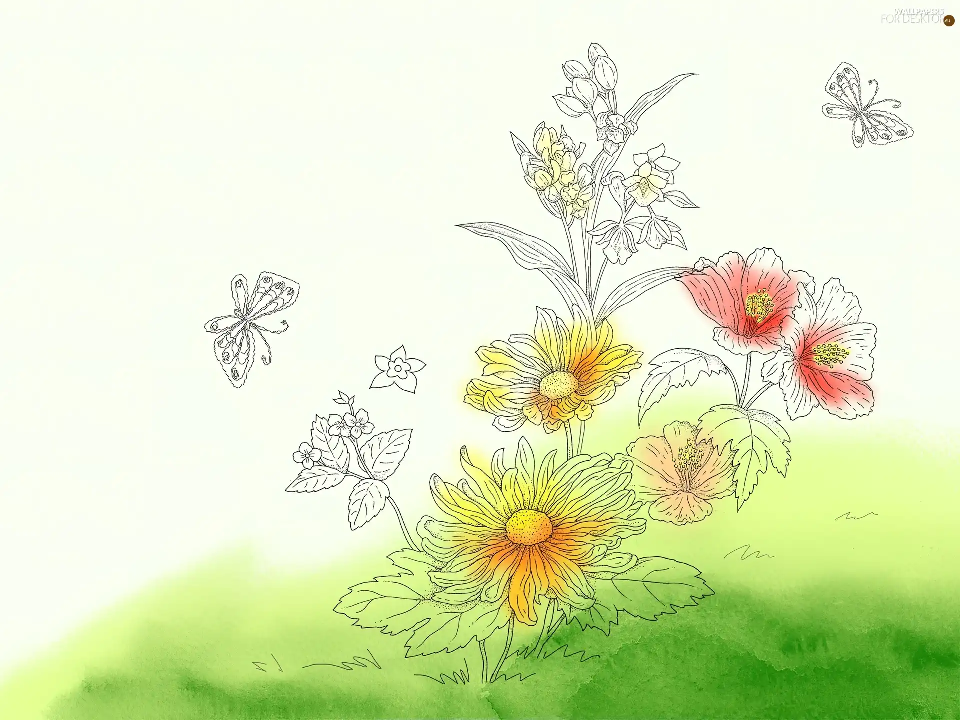 different, butterflies, Drawing, Flowers