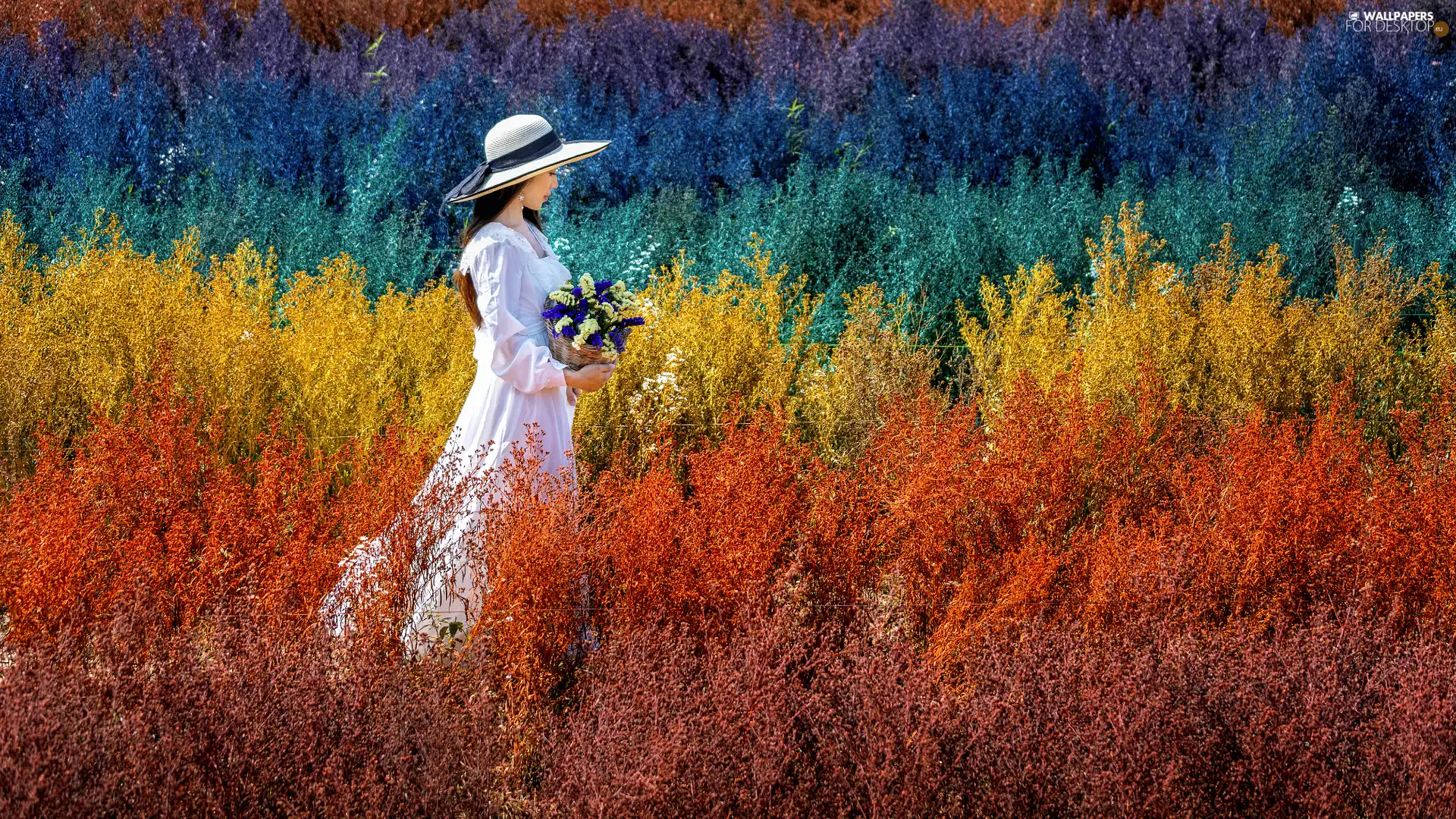 Field, White, Plants, Hat, color, Asian, Women, dress