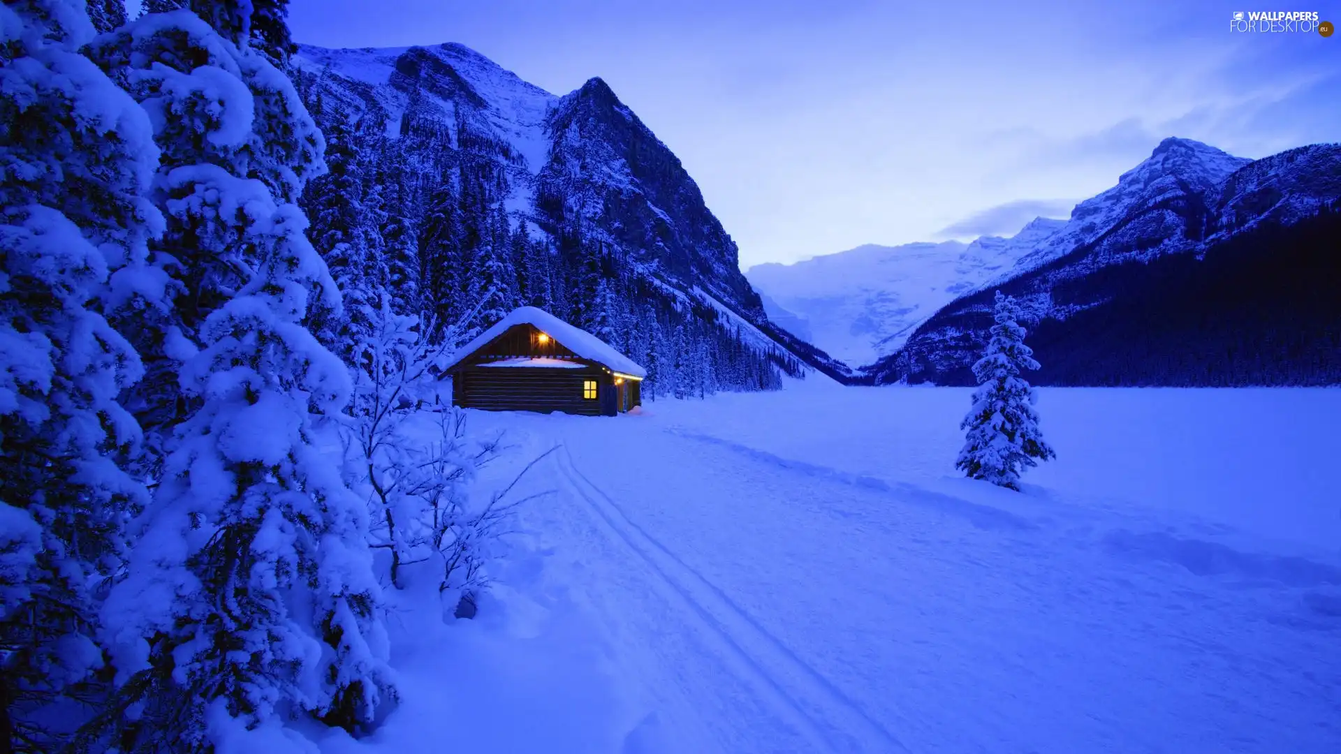 drifts, Mountains, forest, snow, house