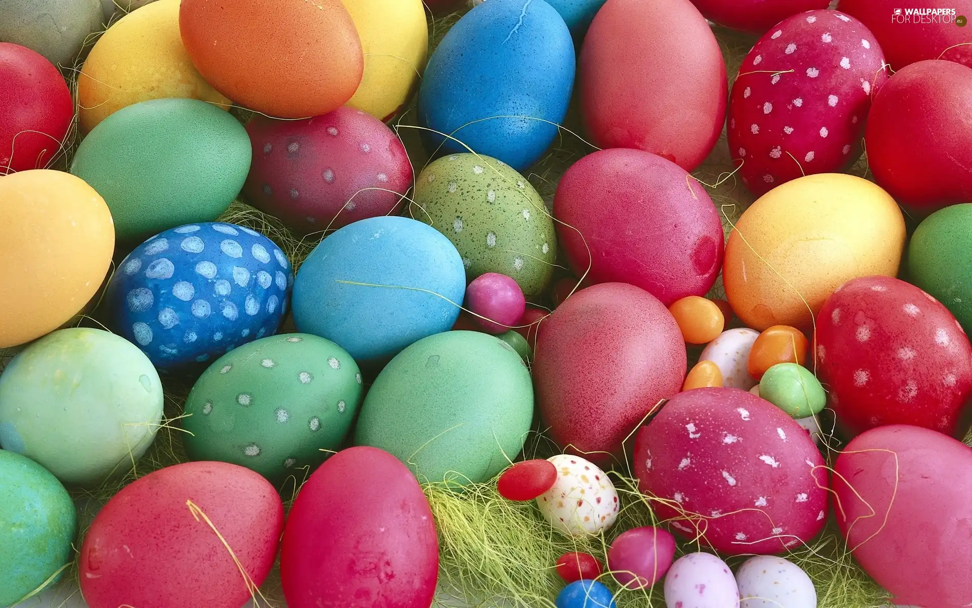 easter, color, eggs