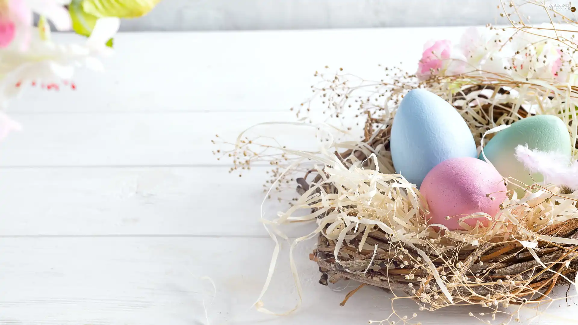 Easter, nest, Flowers, eggs