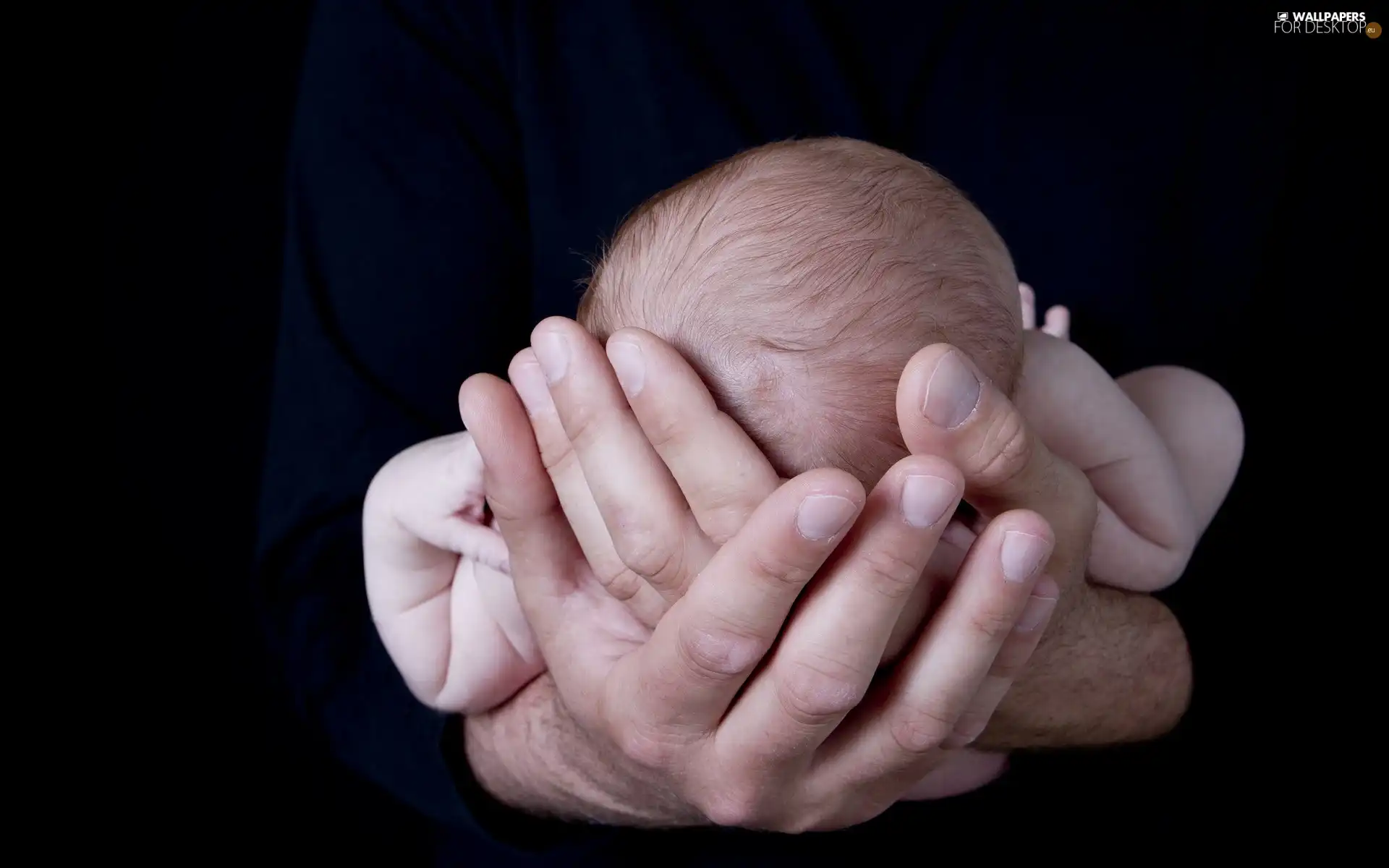father, Baby, hands