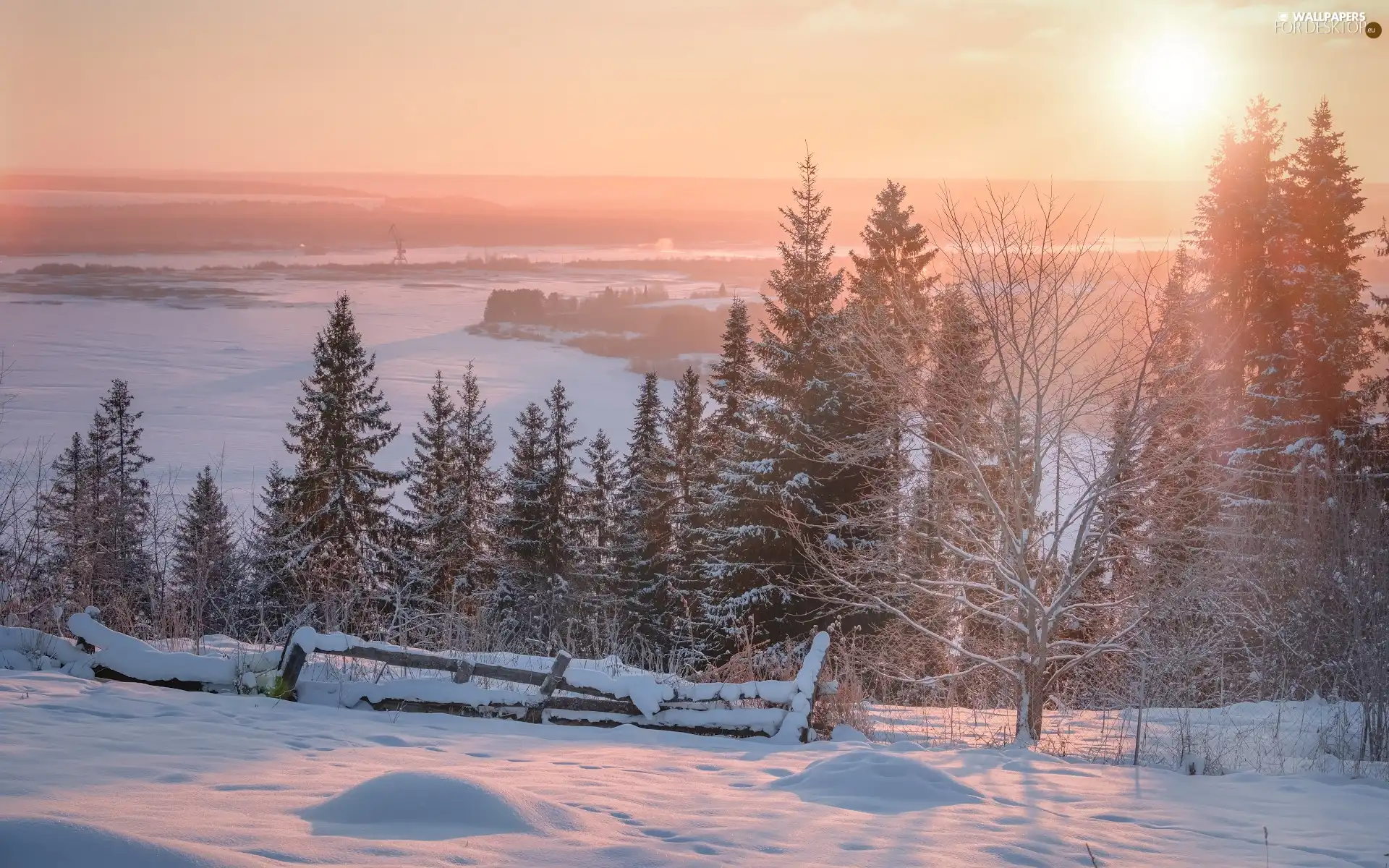 Sunrise, winter, viewes, fence, trees, snow