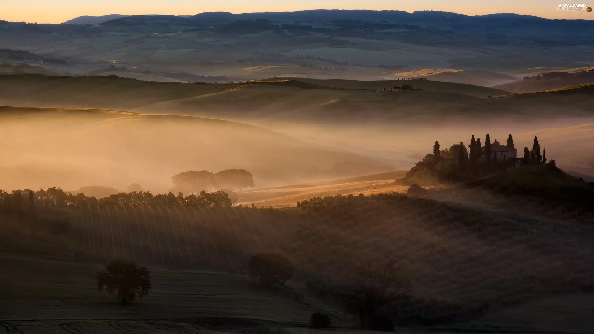 field, The Hills, Fog, trees, Houses, Tuscany, Italy, viewes