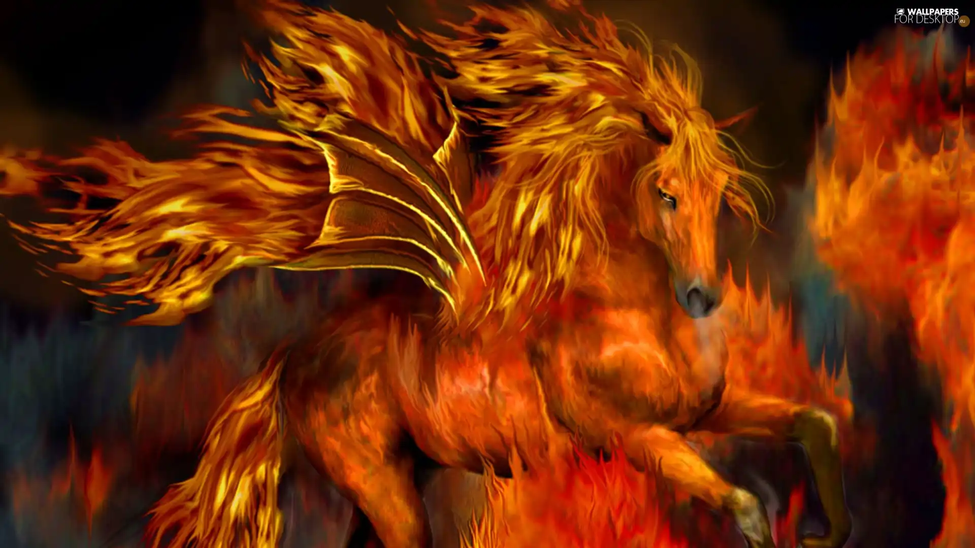 fire, Horse, ##
